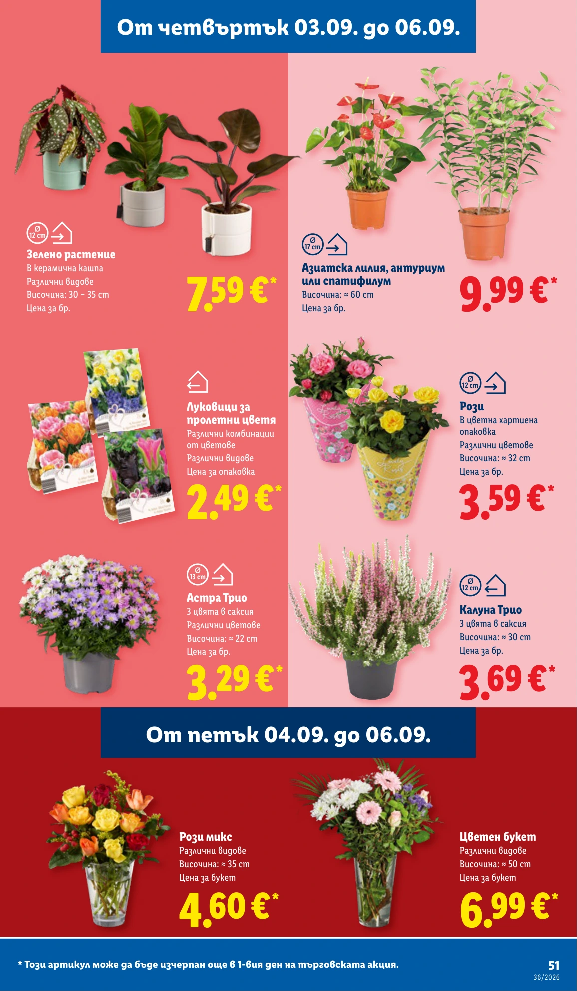 Flyer page 51