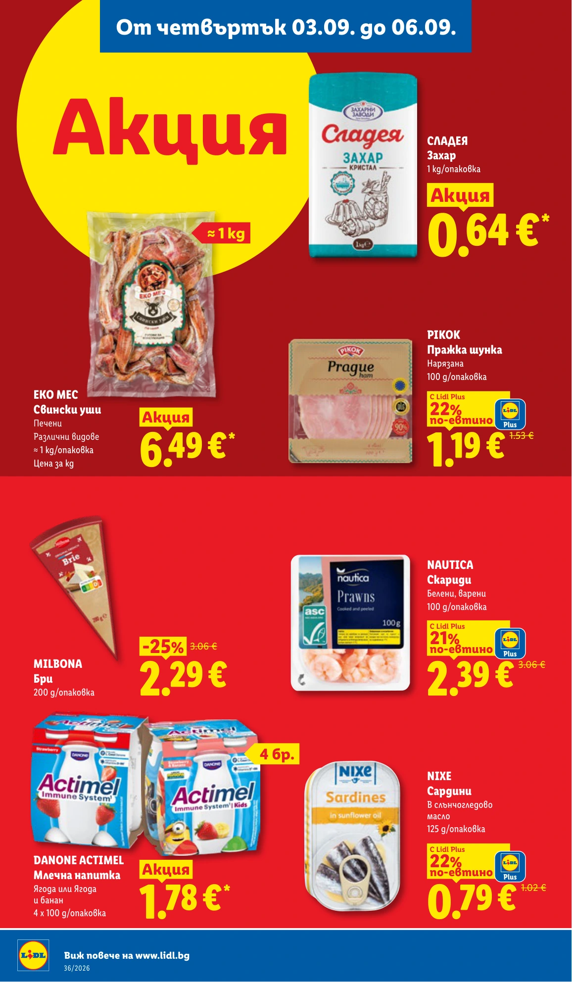 Flyer page 66