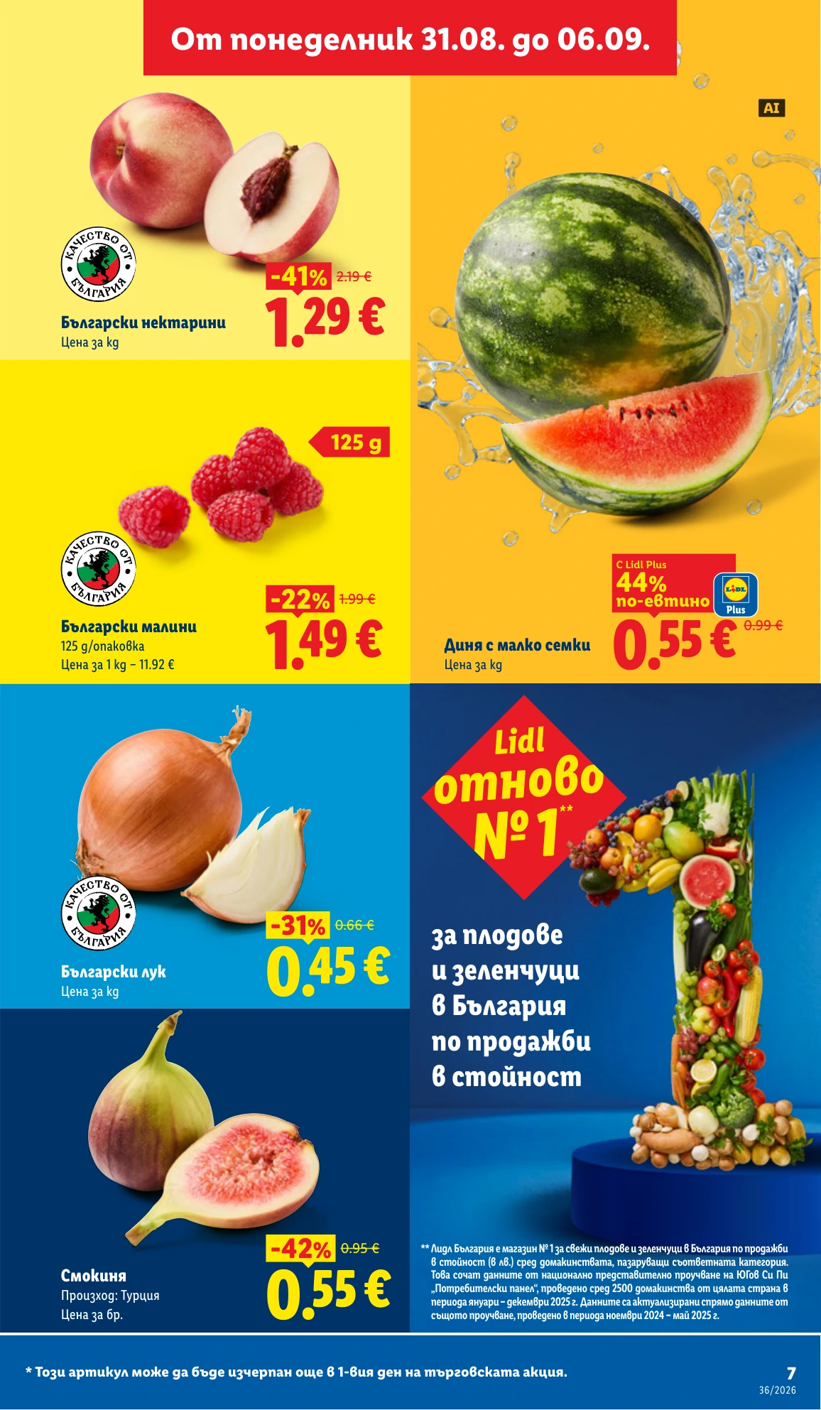 Flyer page 7