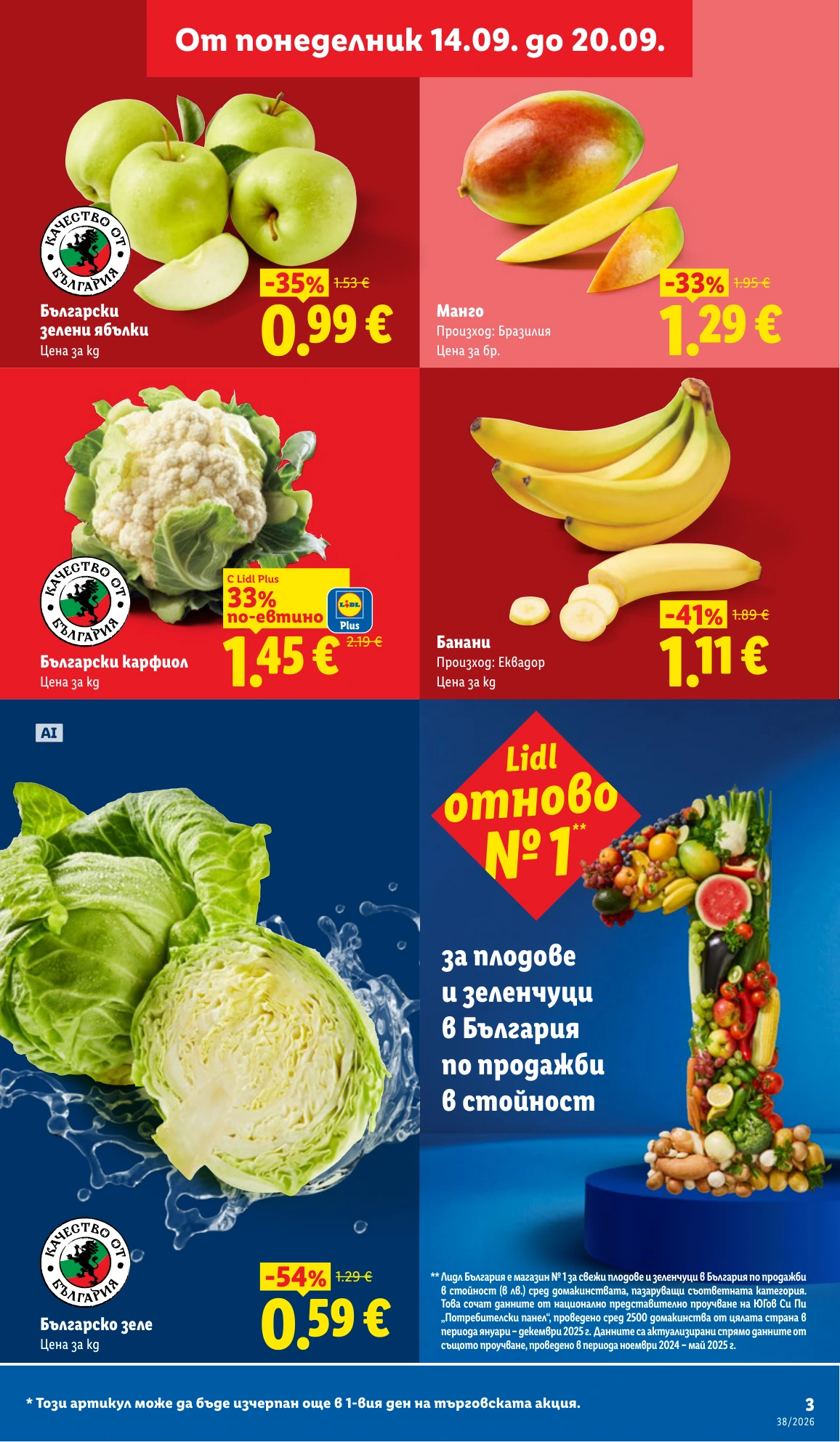Flyer page 3