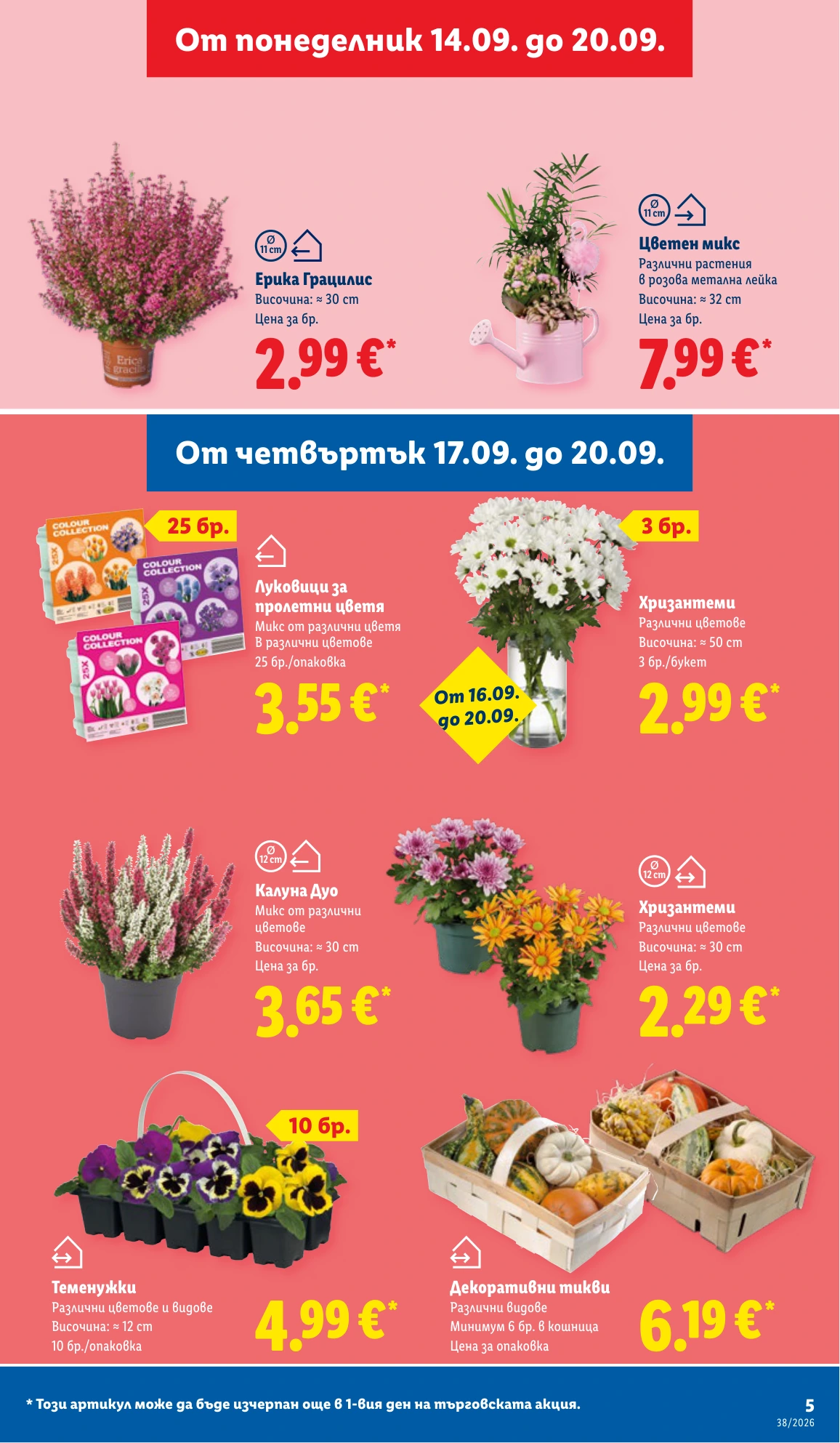 Flyer page 5