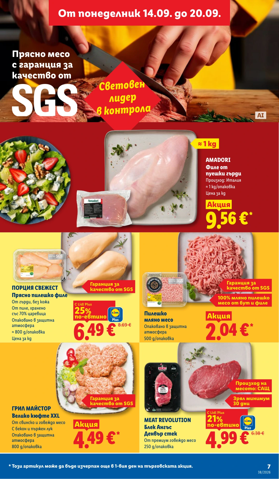 Flyer page 7