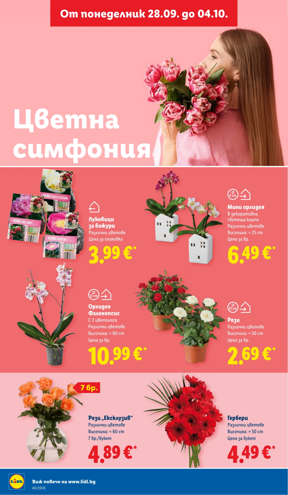 Flyer page 48