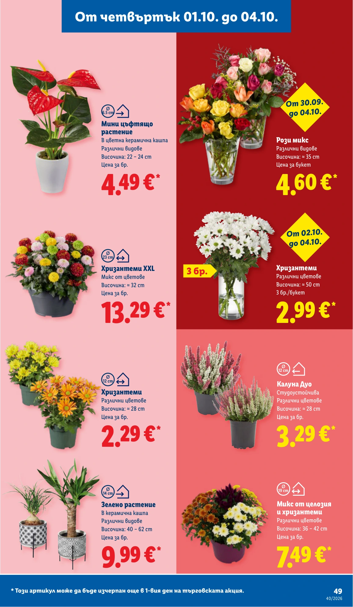 Flyer page 49