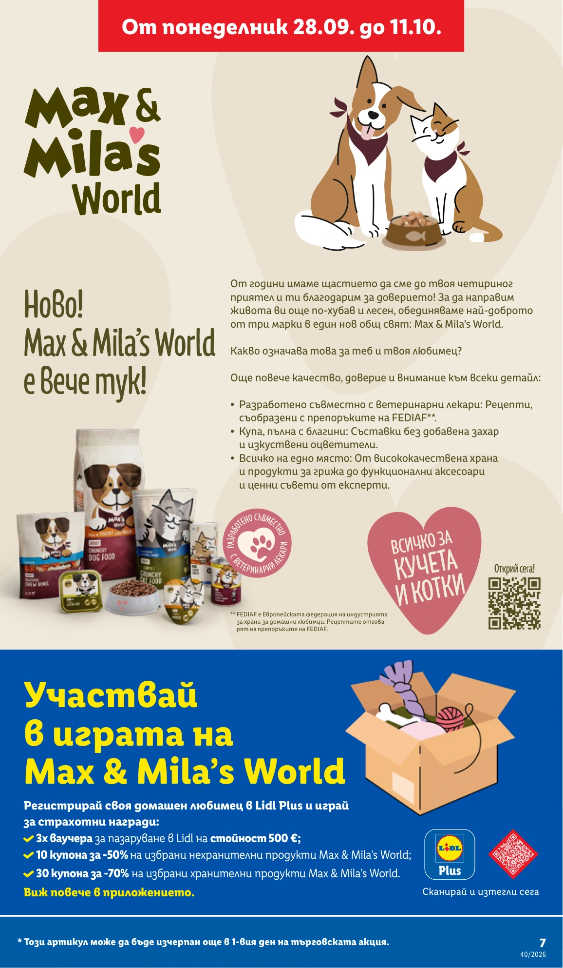 Flyer page 7