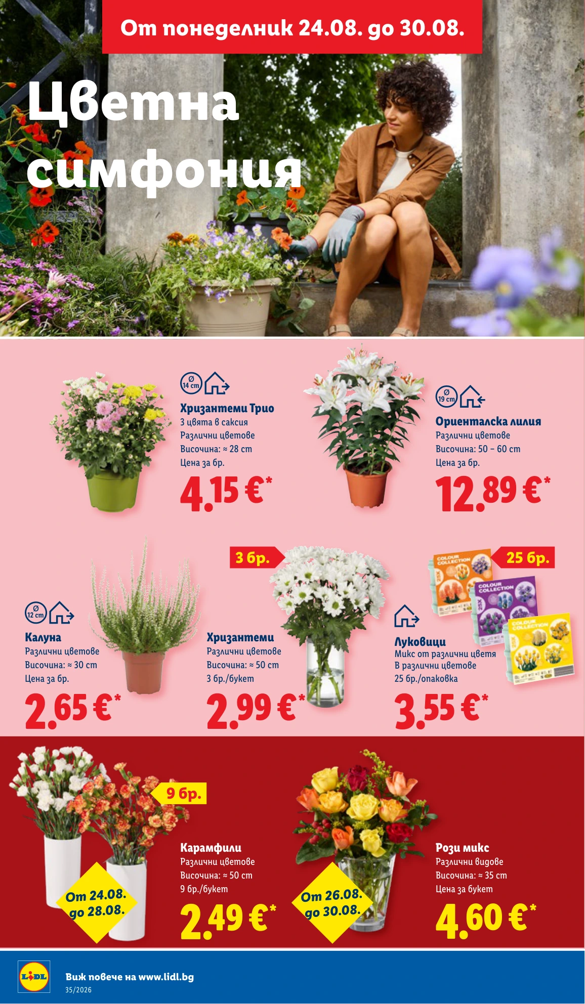 Flyer page 44