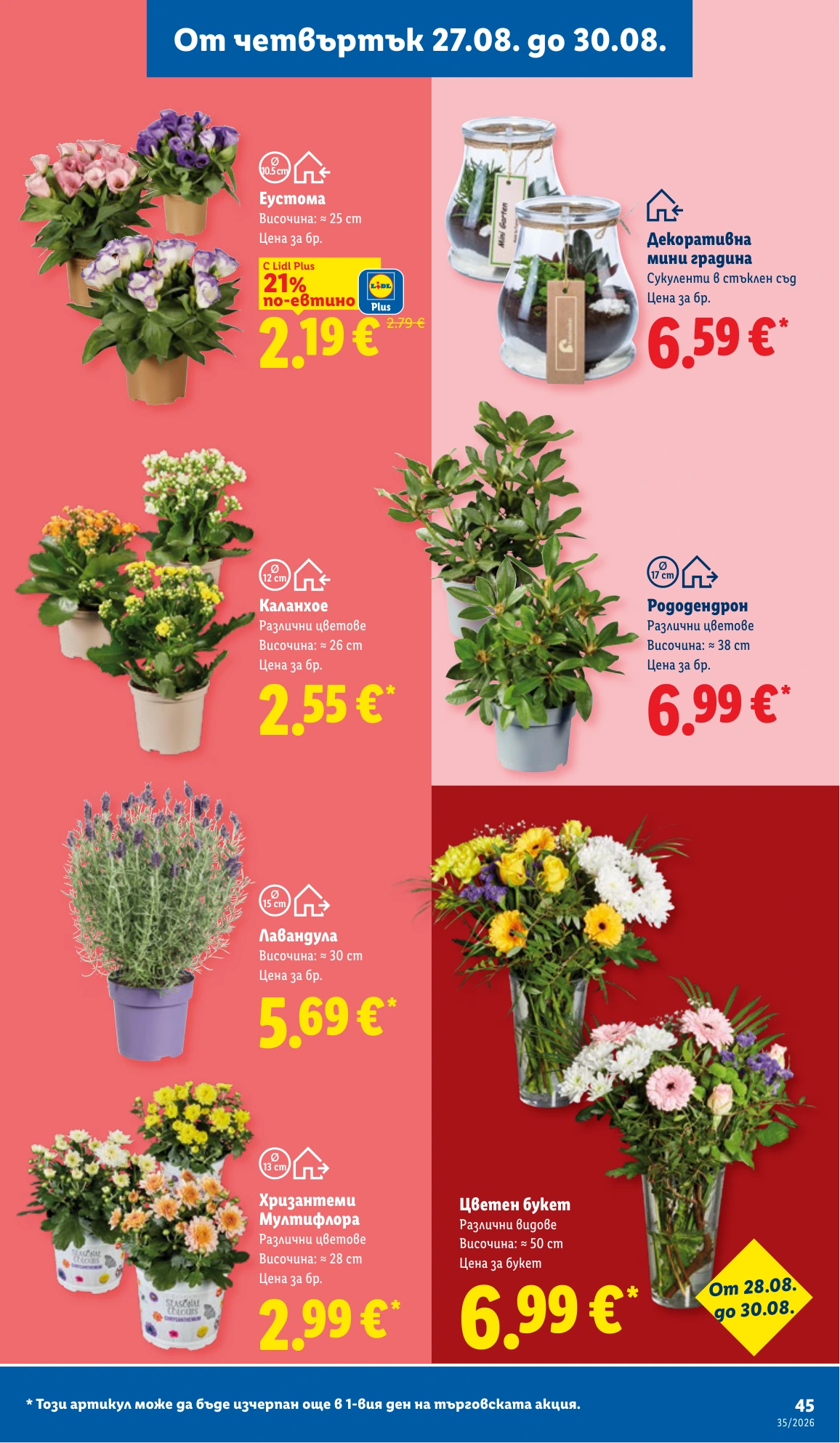 Flyer page 45