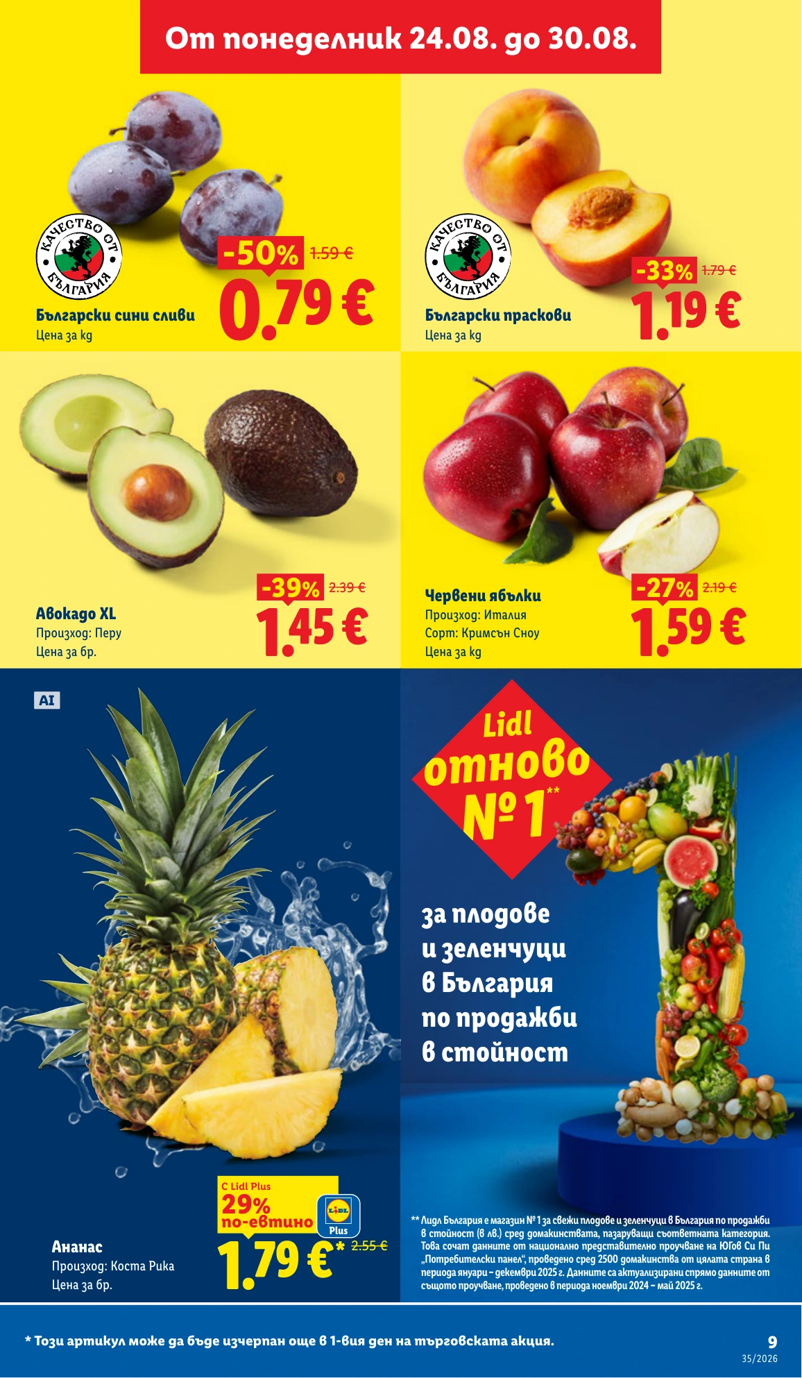 Flyer page 9