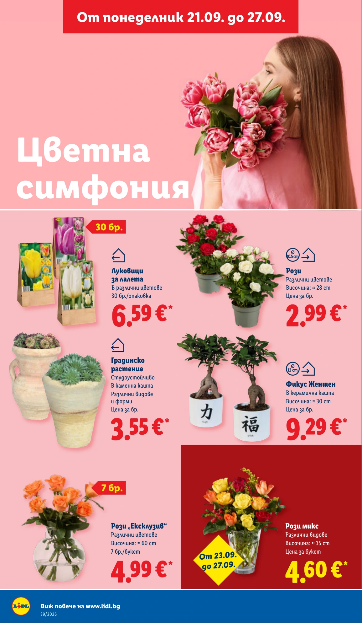 Flyer page 48