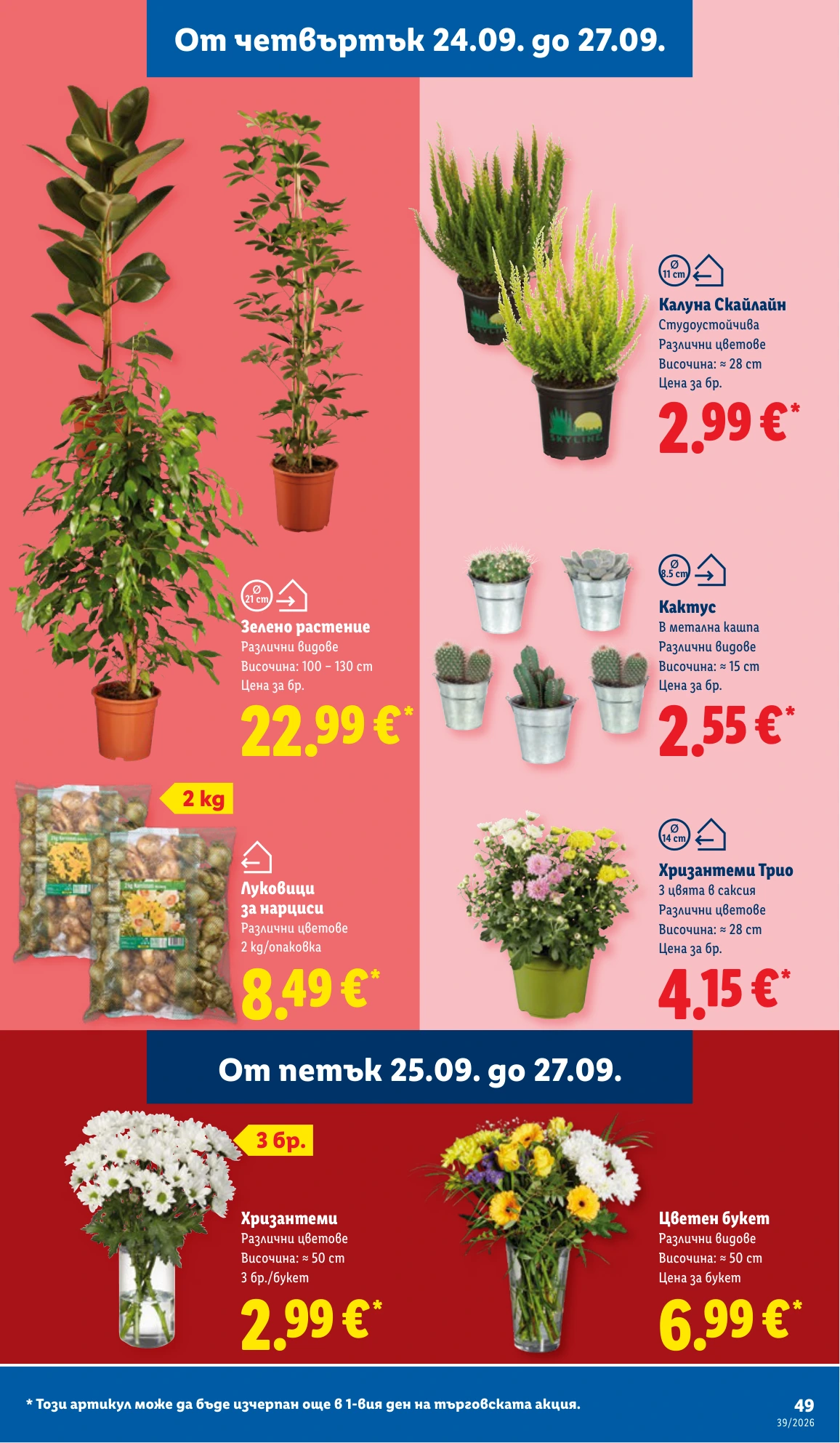 Flyer page 49