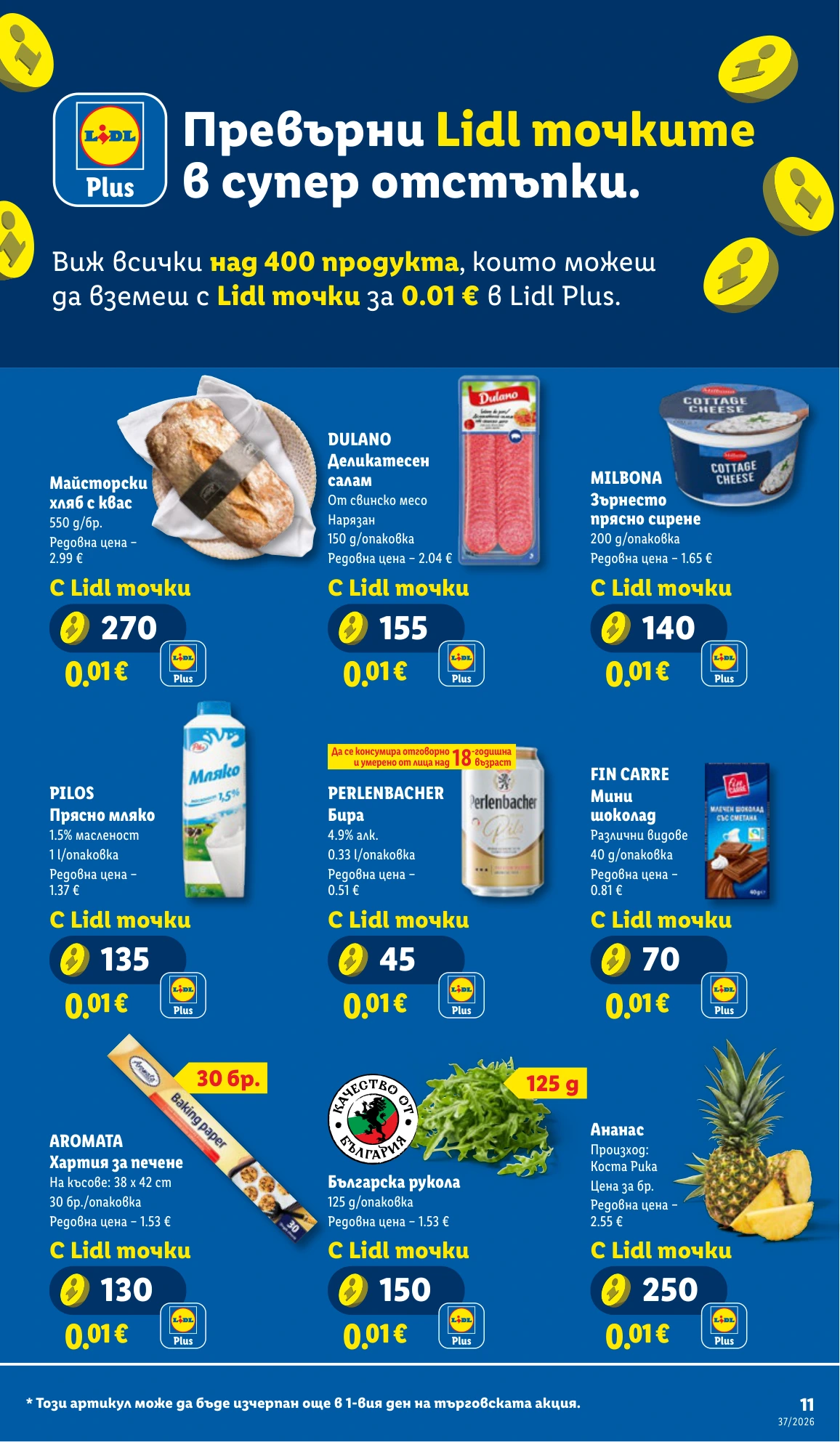 Flyer page 11