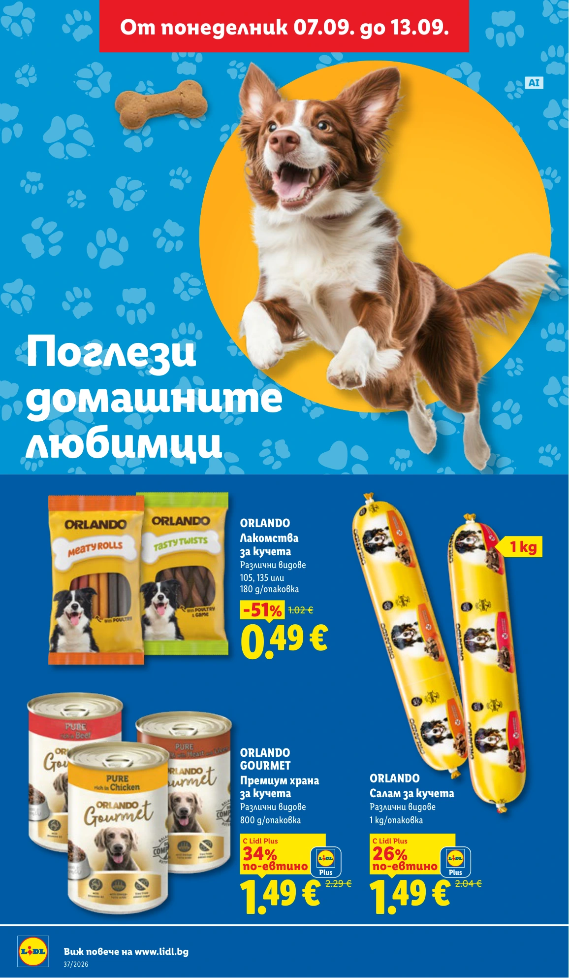 Flyer page 20