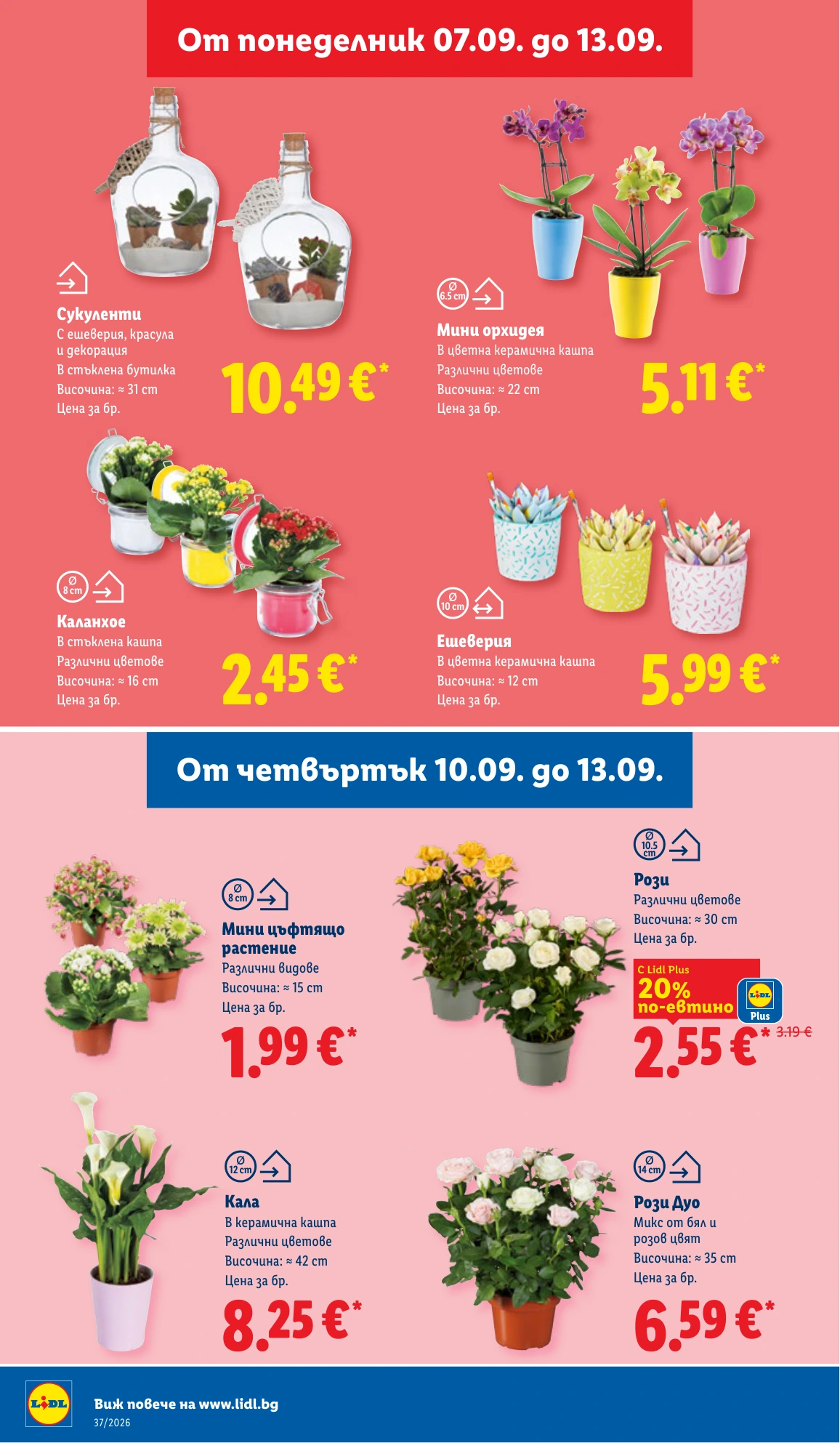 Flyer page 52