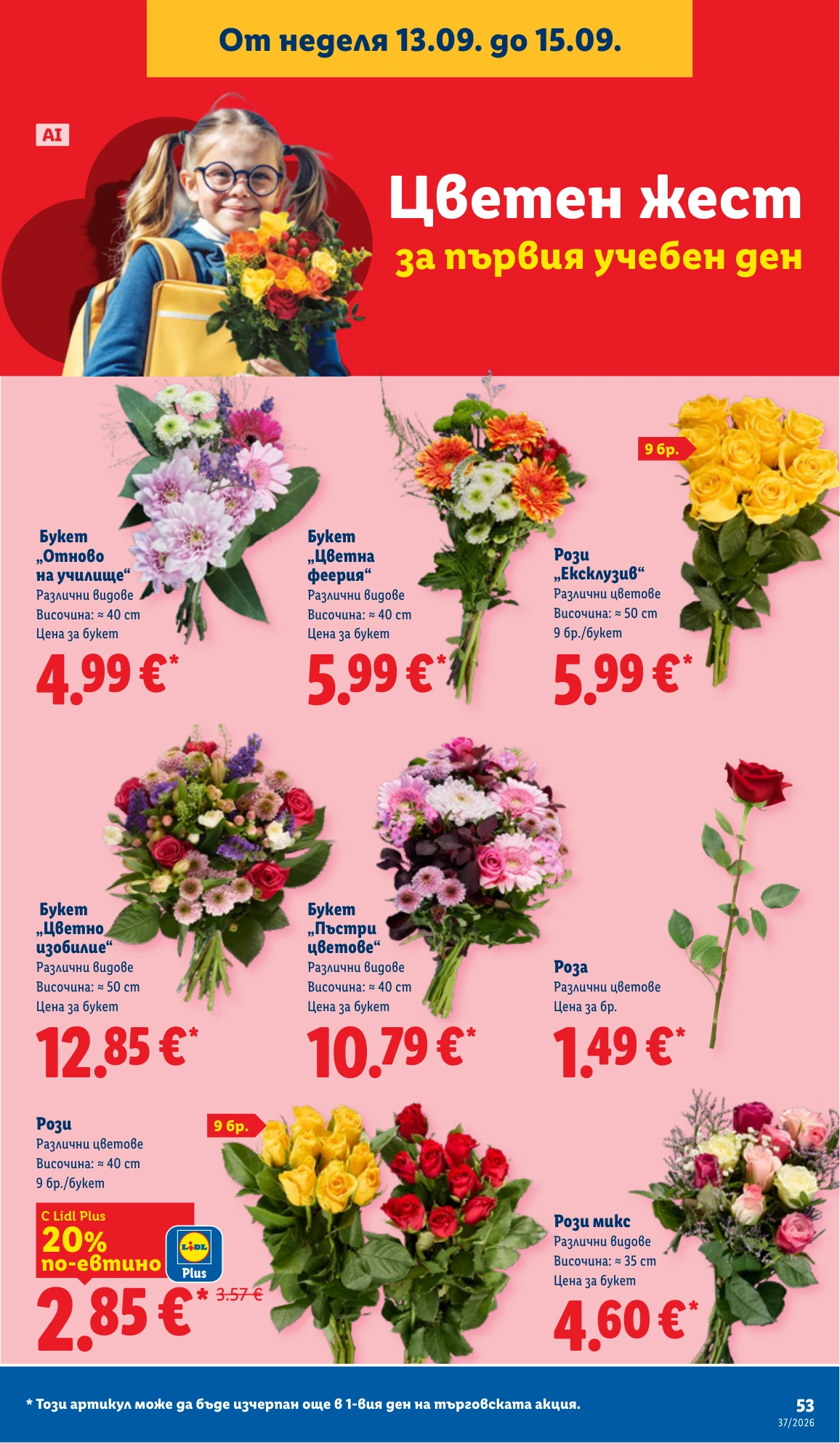 Flyer page 53