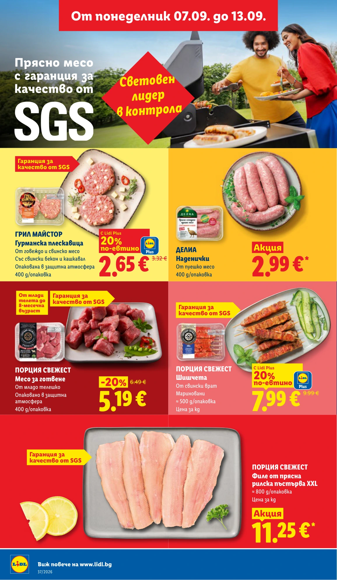 Flyer page 8