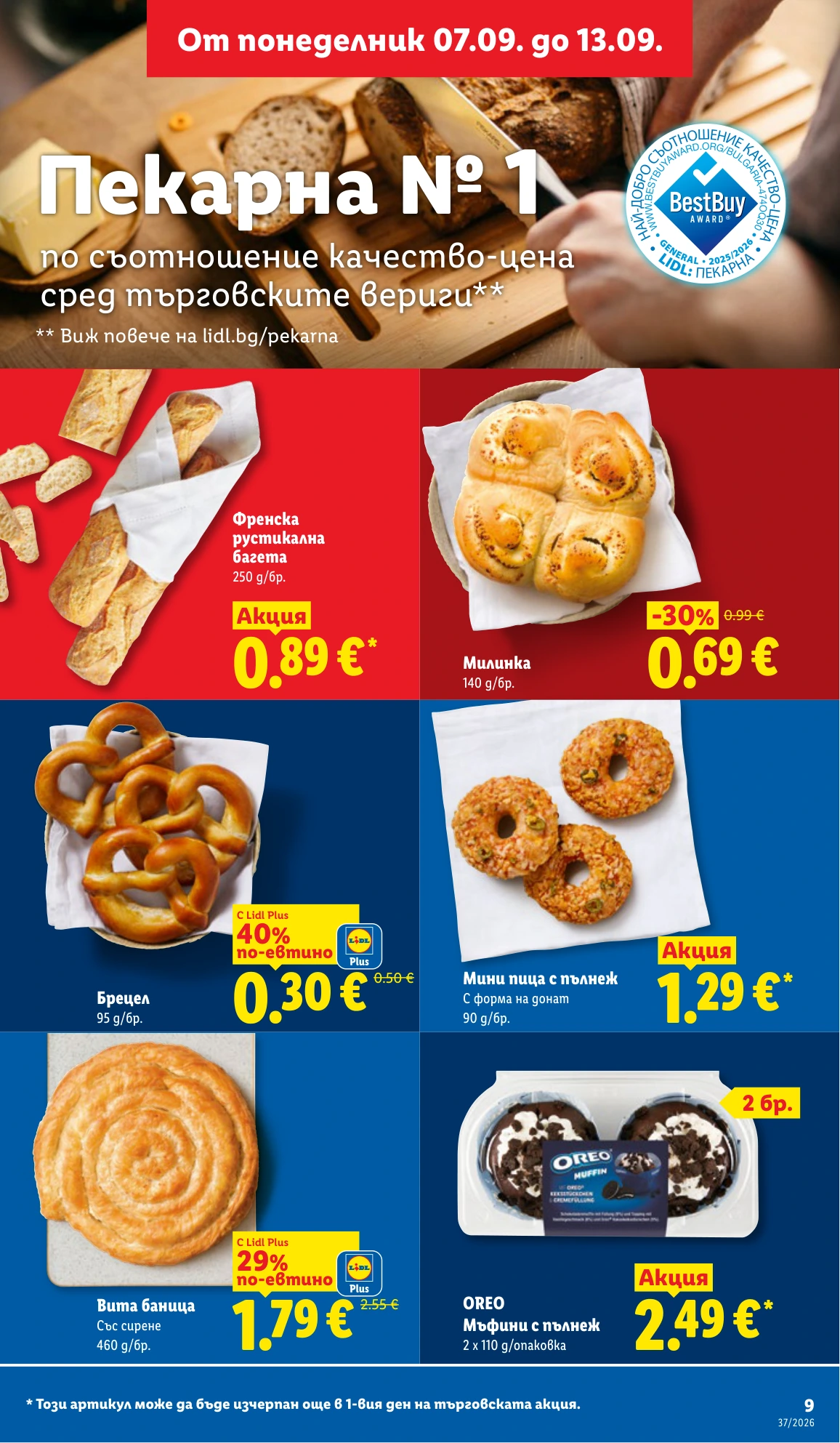 Flyer page 9