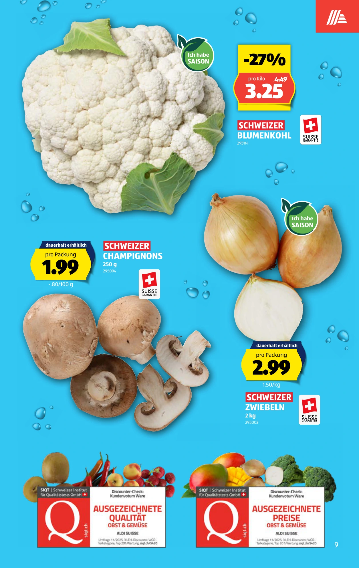 Flyer page 9