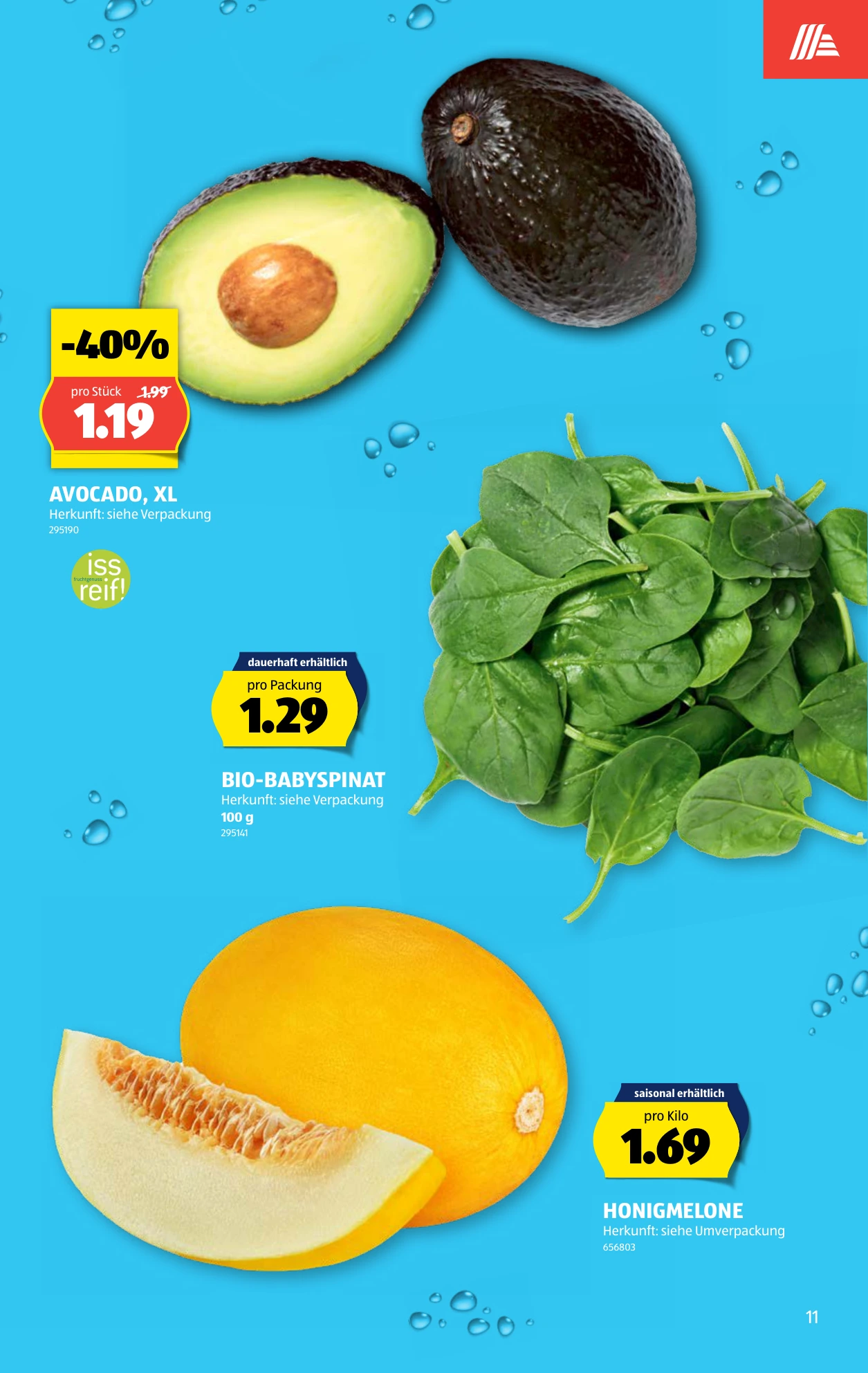 Flyer page 11