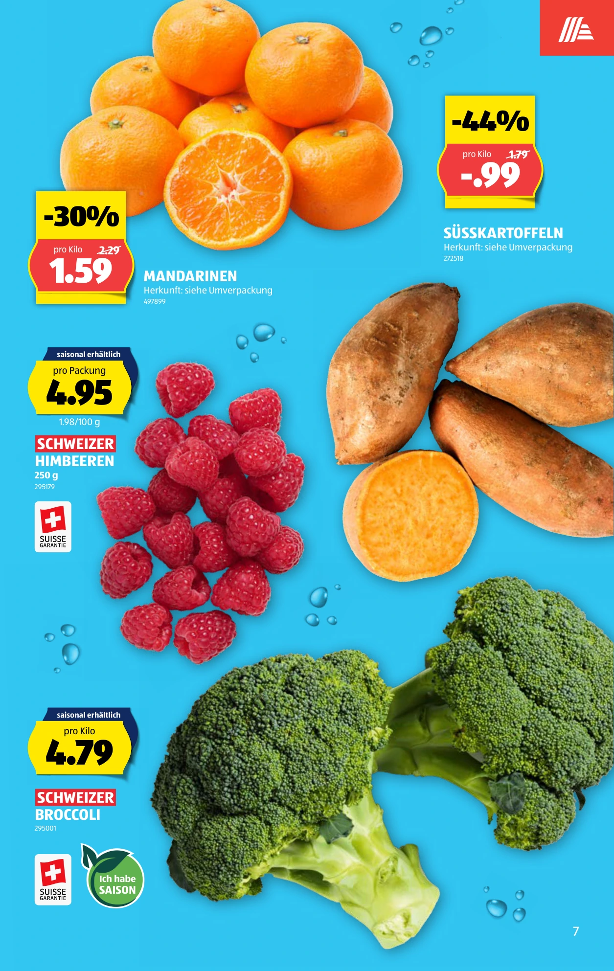 Flyer page 7