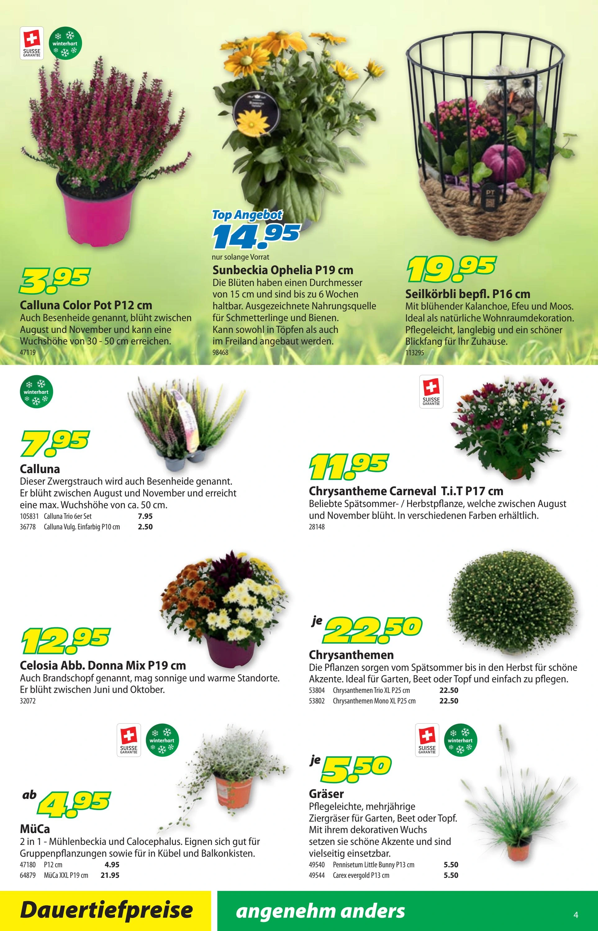 Flyer page 8