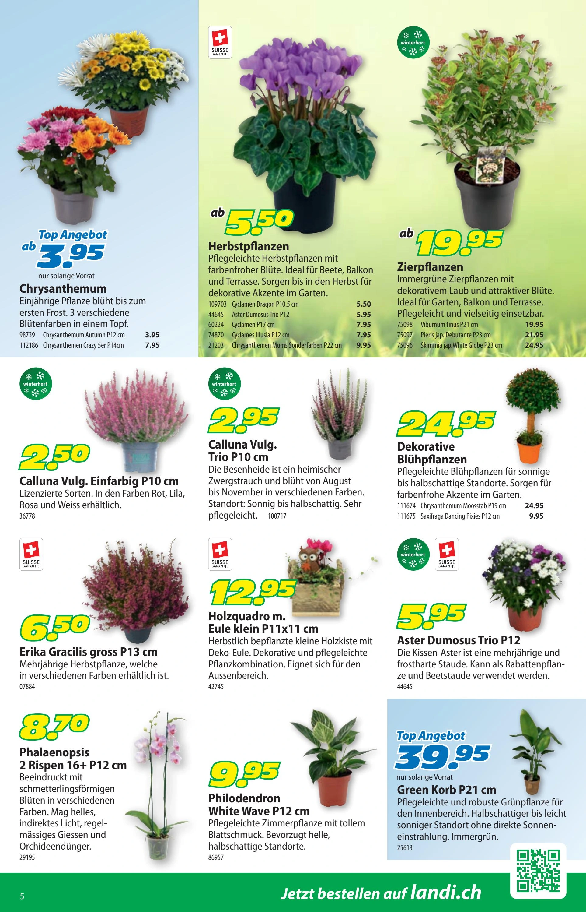 Flyer page 9