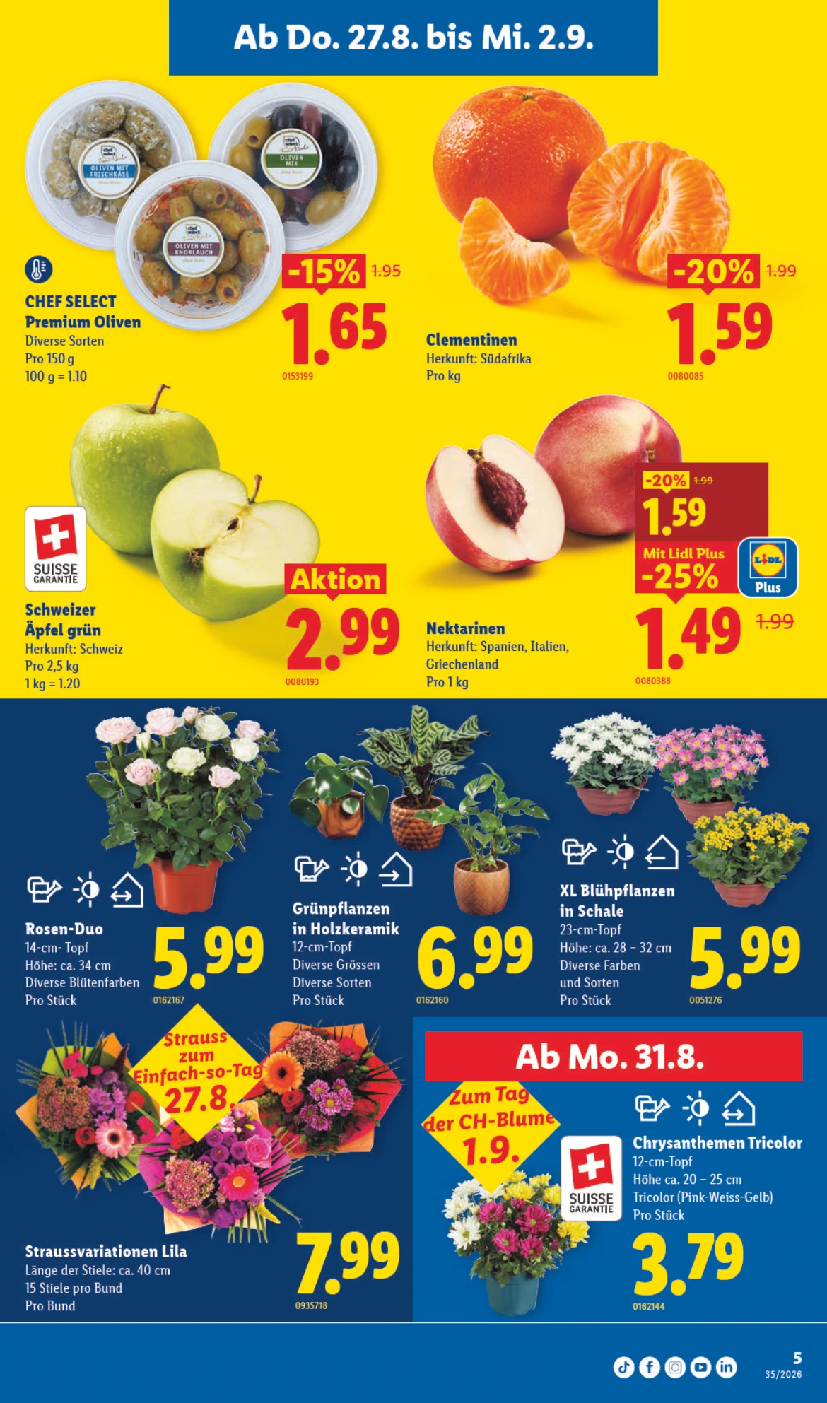 Flyer page 9
