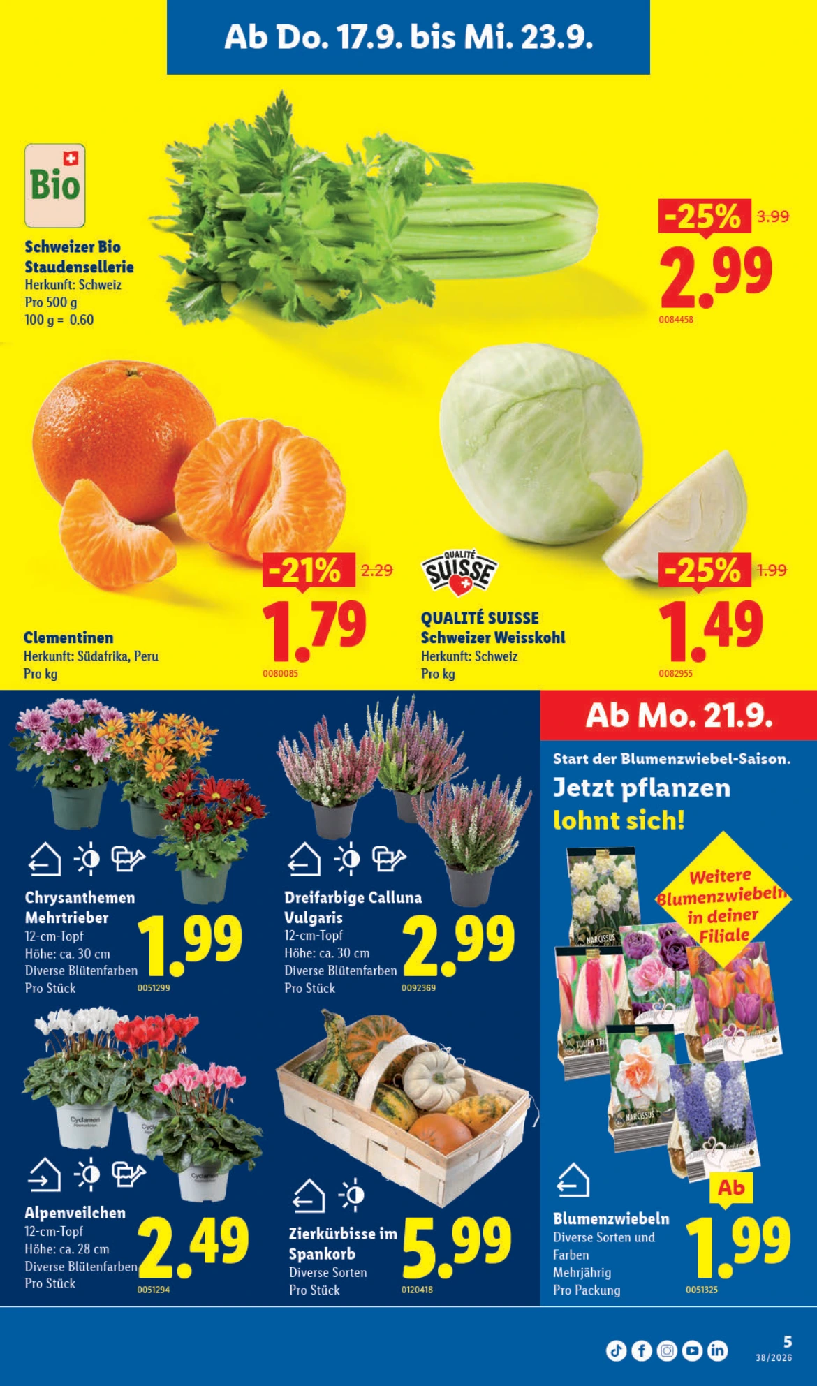 Flyer page 5