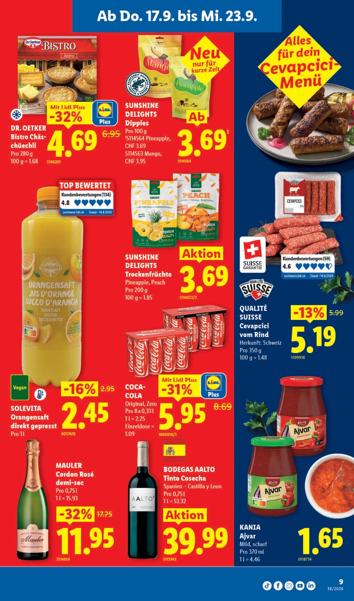 Flyer page 9