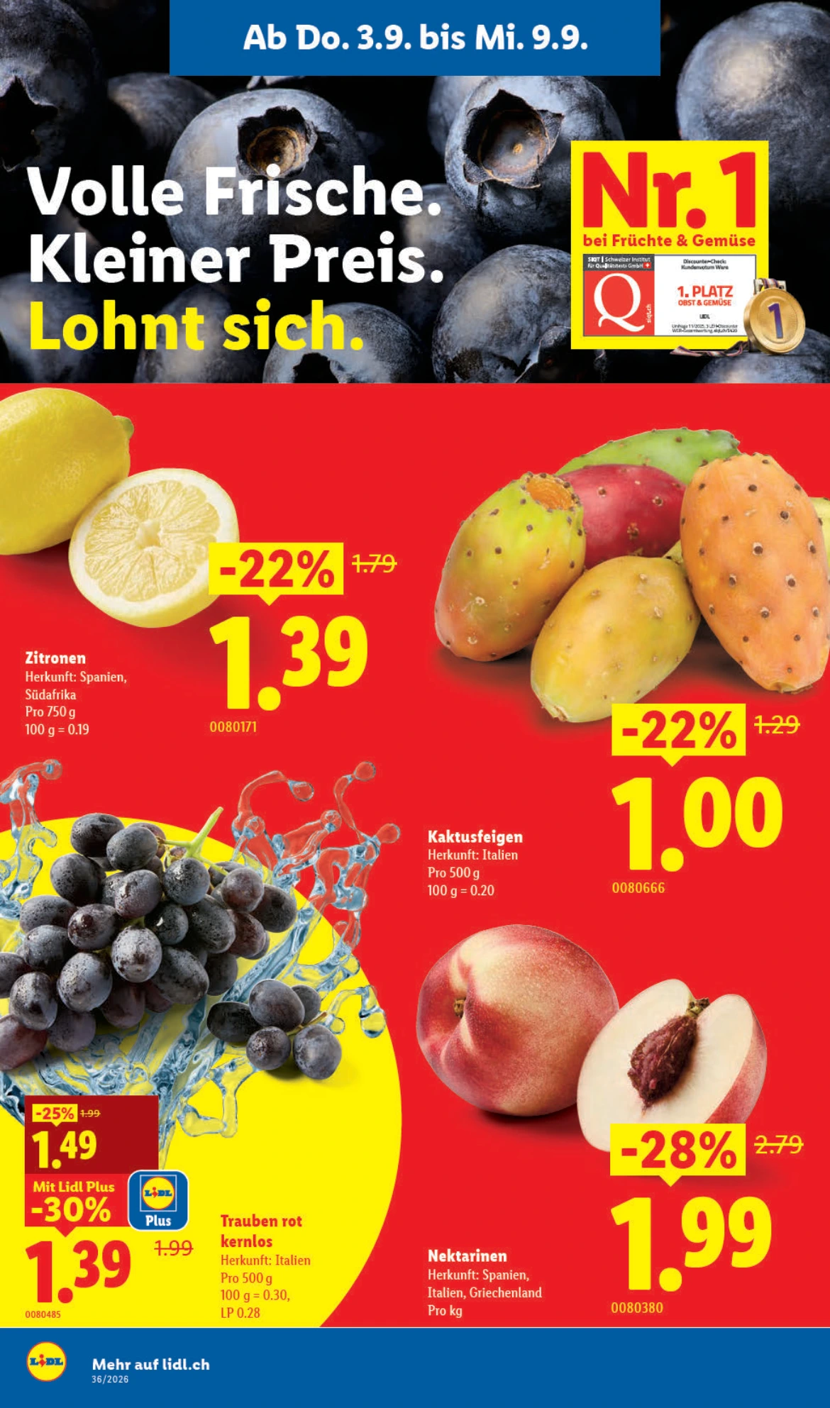 Flyer page 8