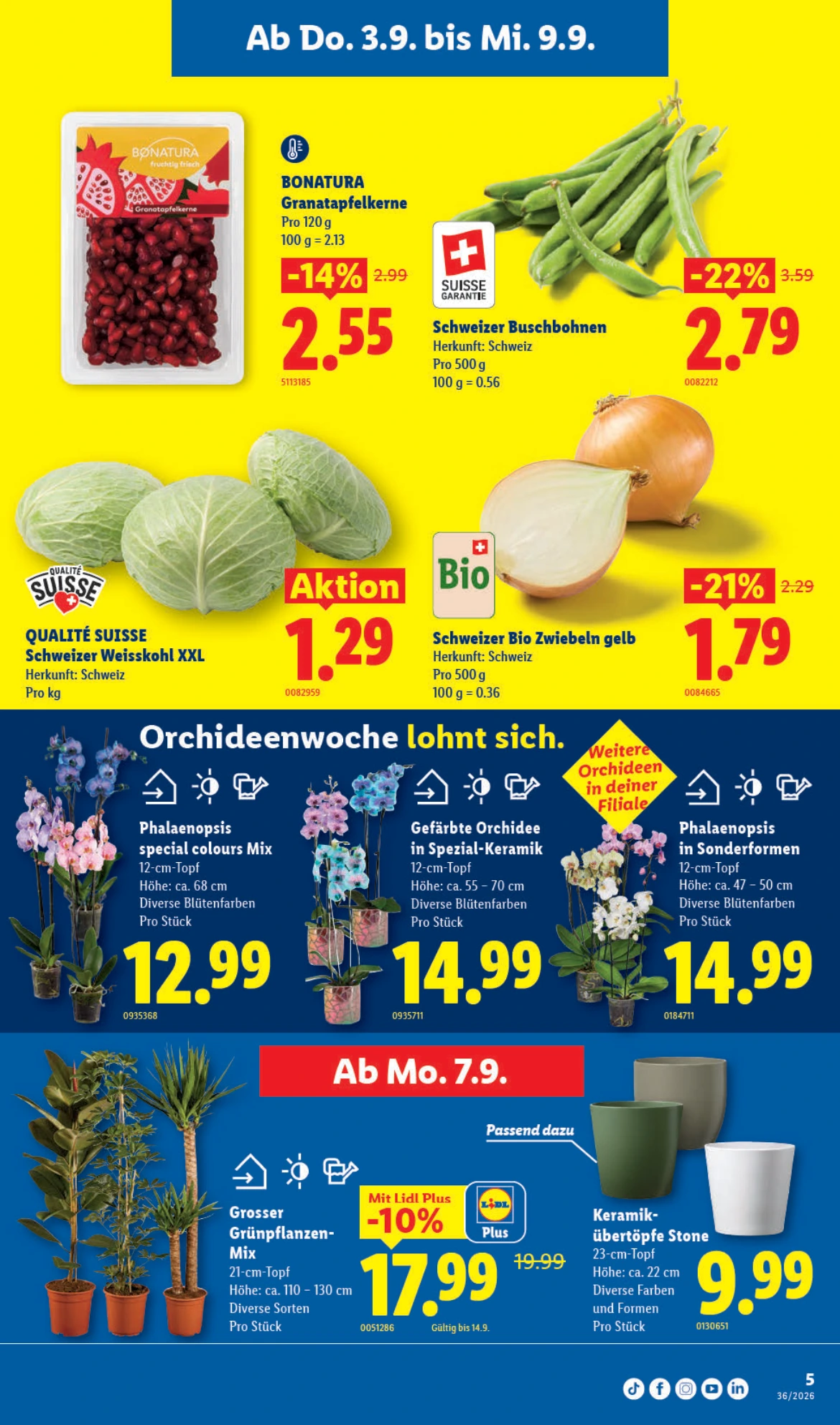 Flyer page 9