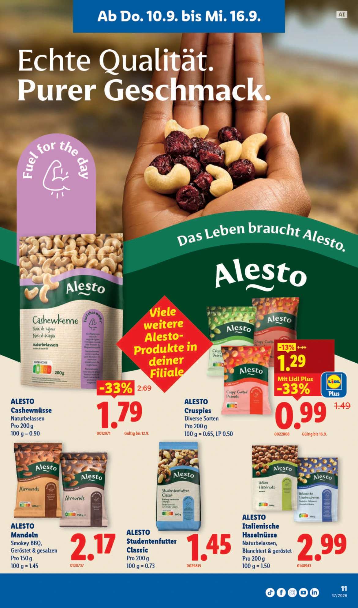 Flyer page 11