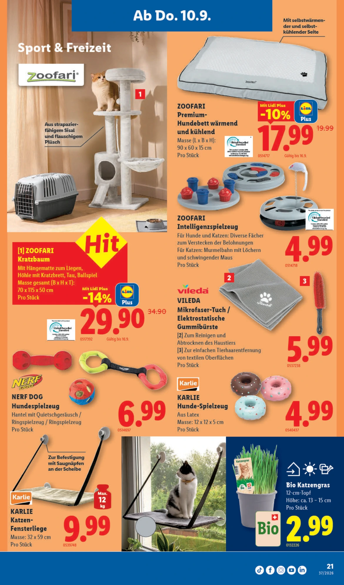 Flyer page 21
