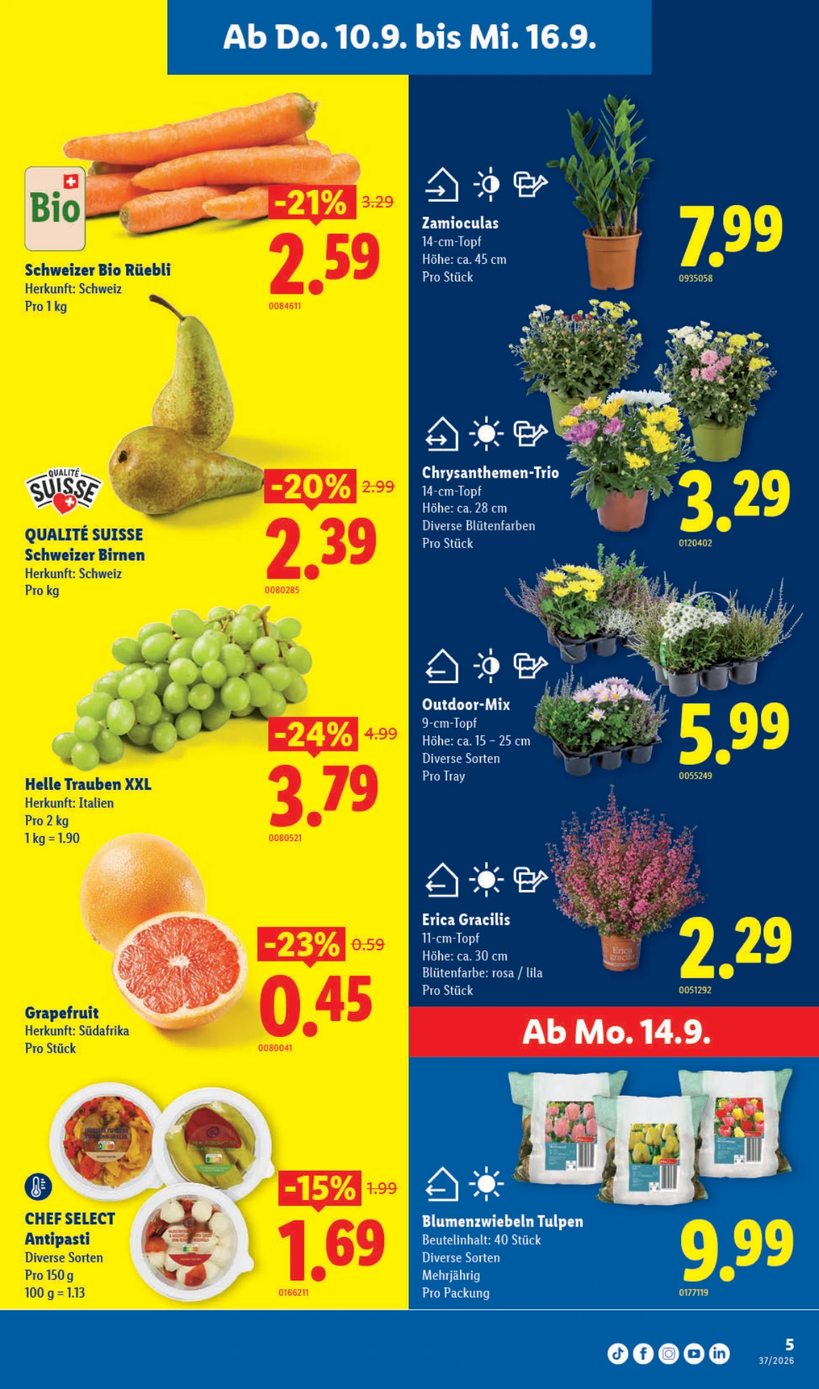 Flyer page 5