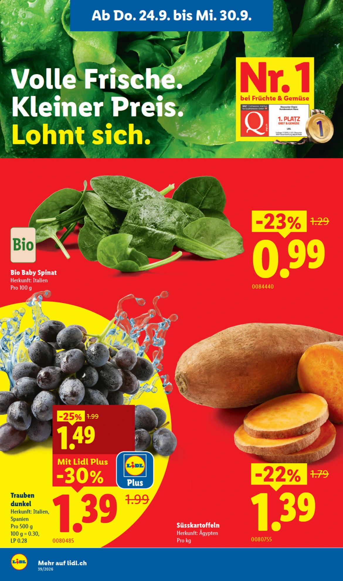 Flyer page 4