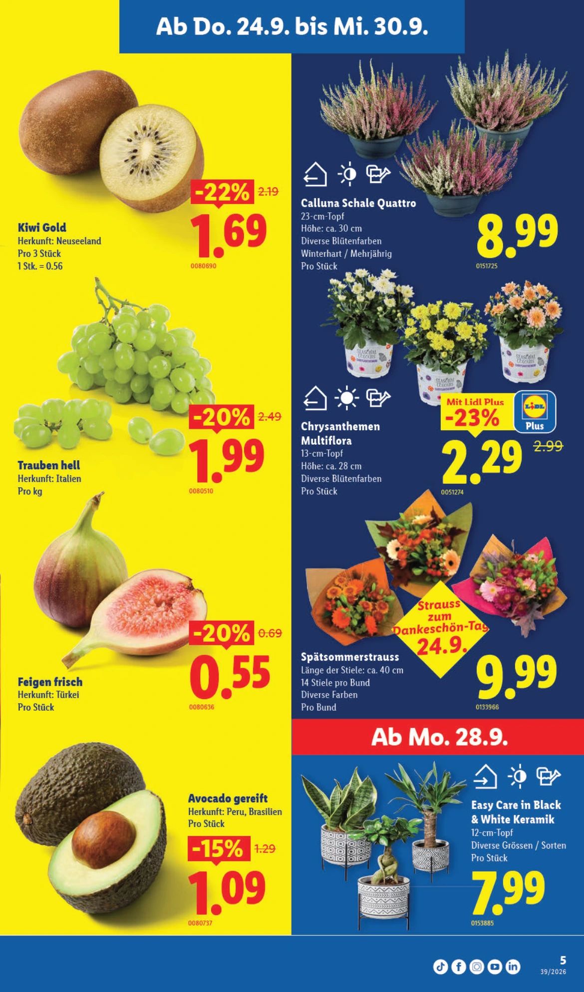 Flyer page 5