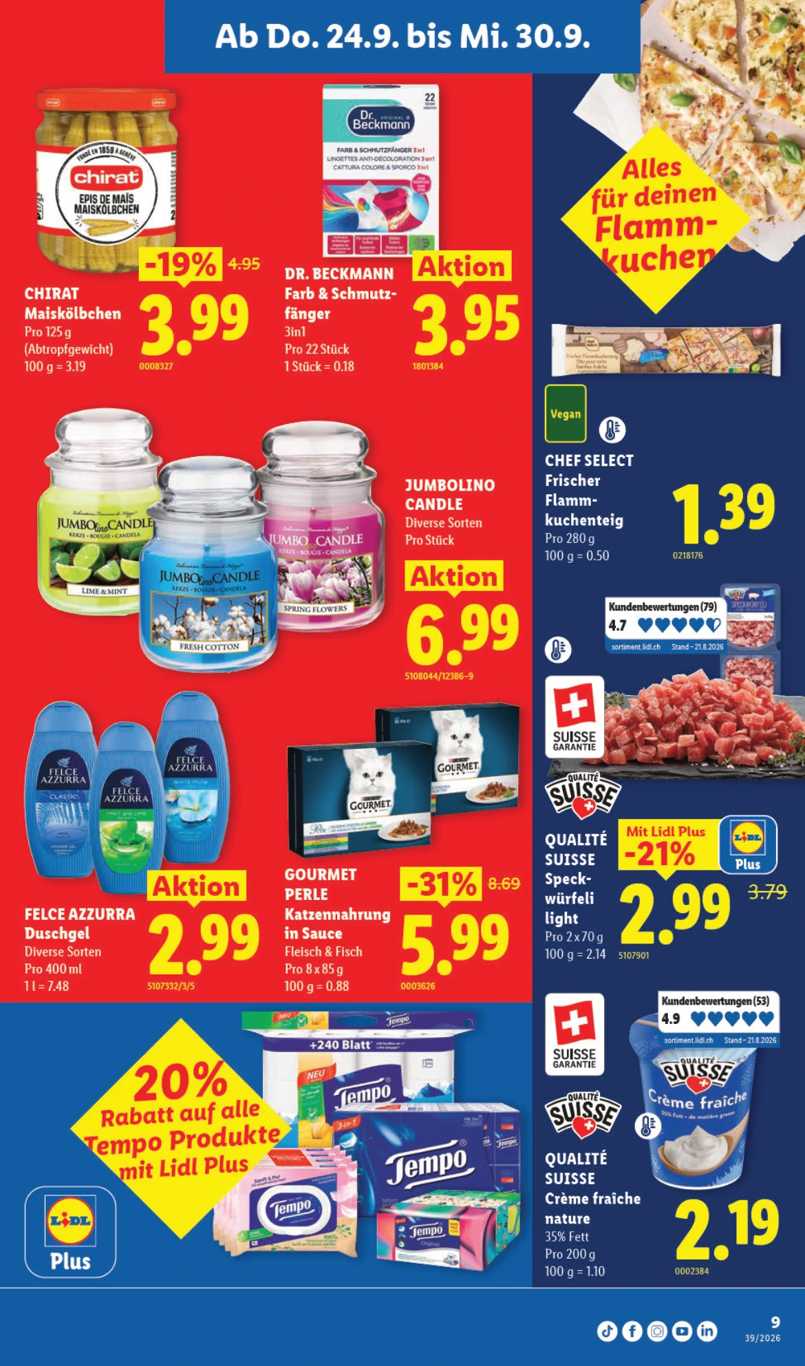 Flyer page 9