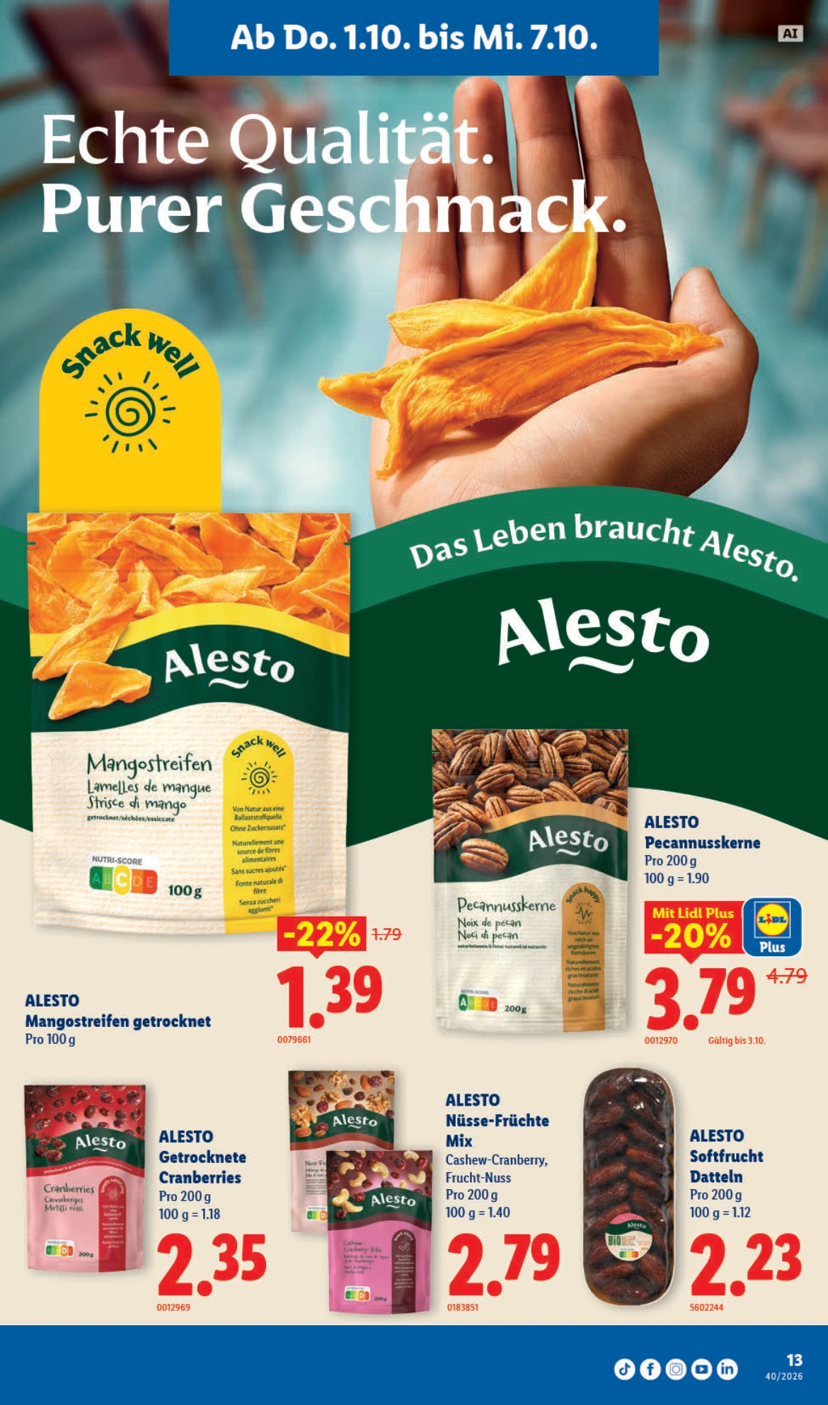 Flyer page 13