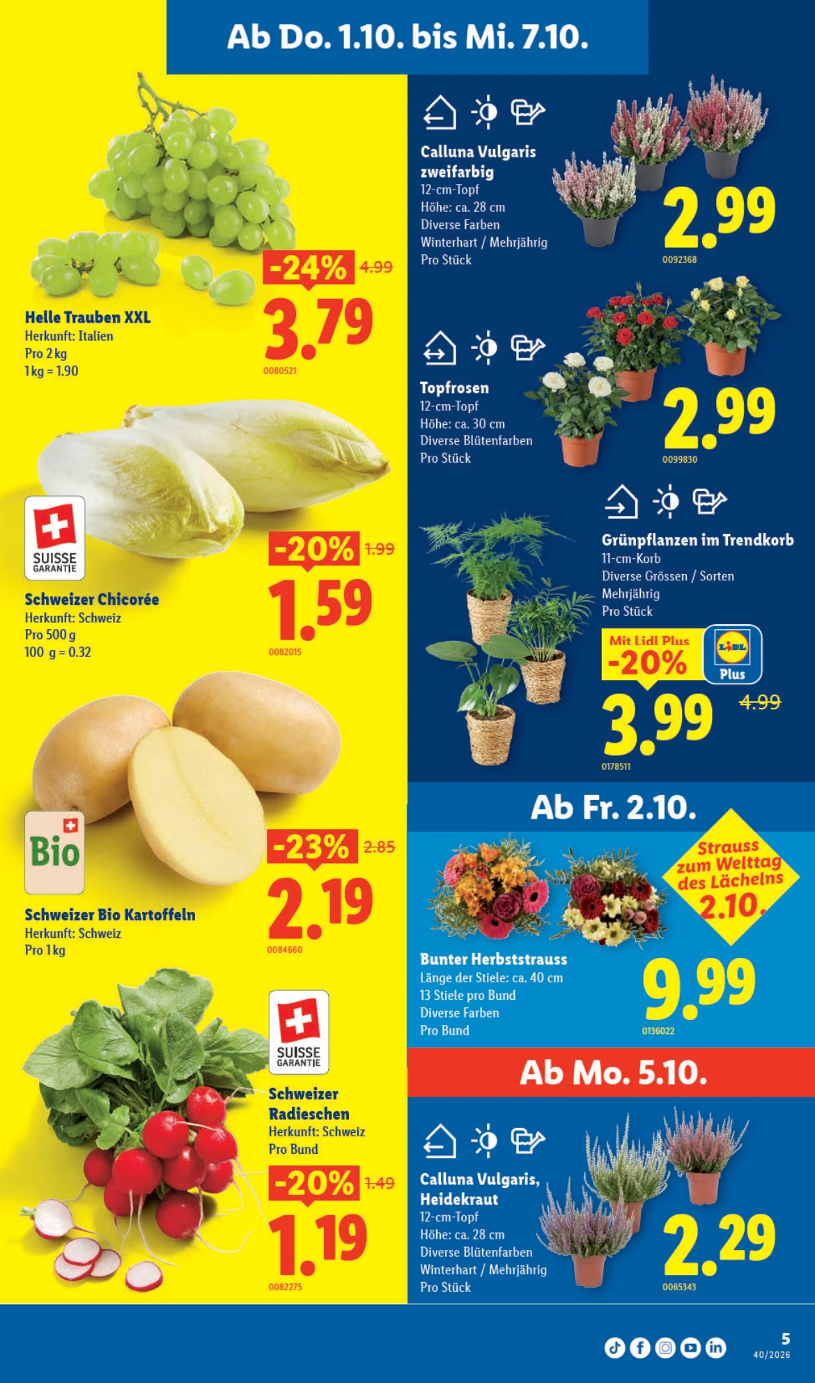 Flyer page 5