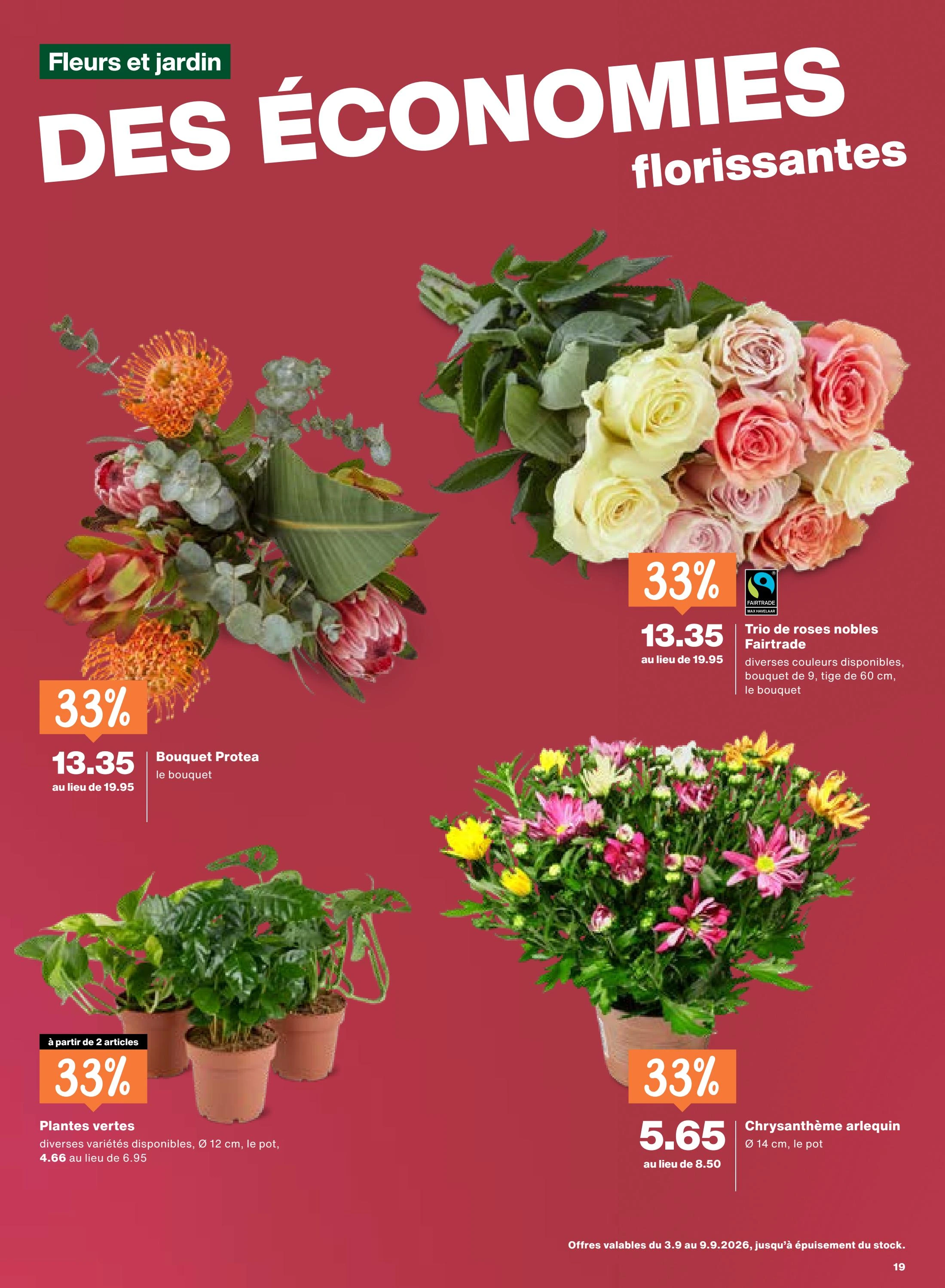 Flyer page 19