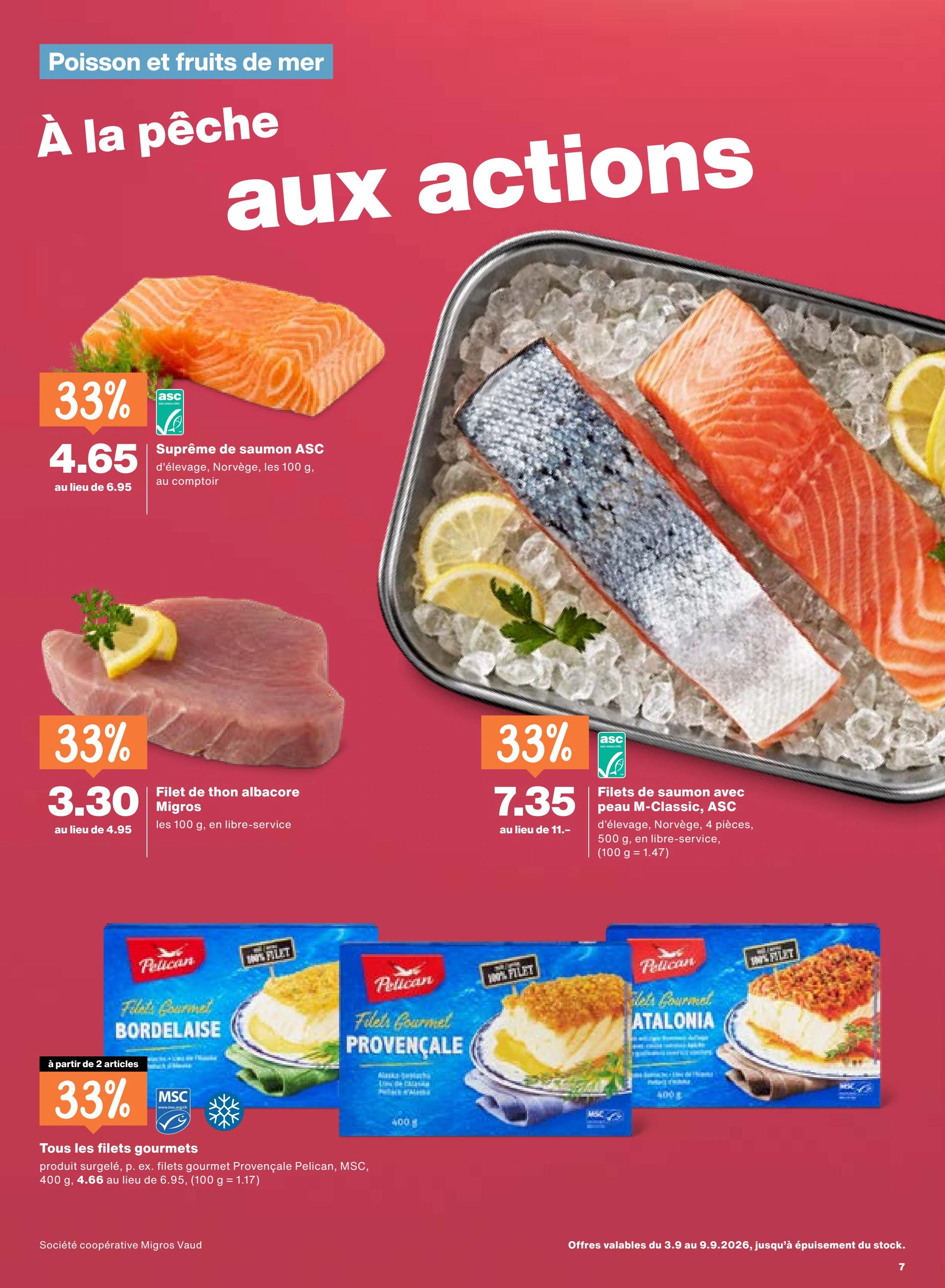 Flyer page 7