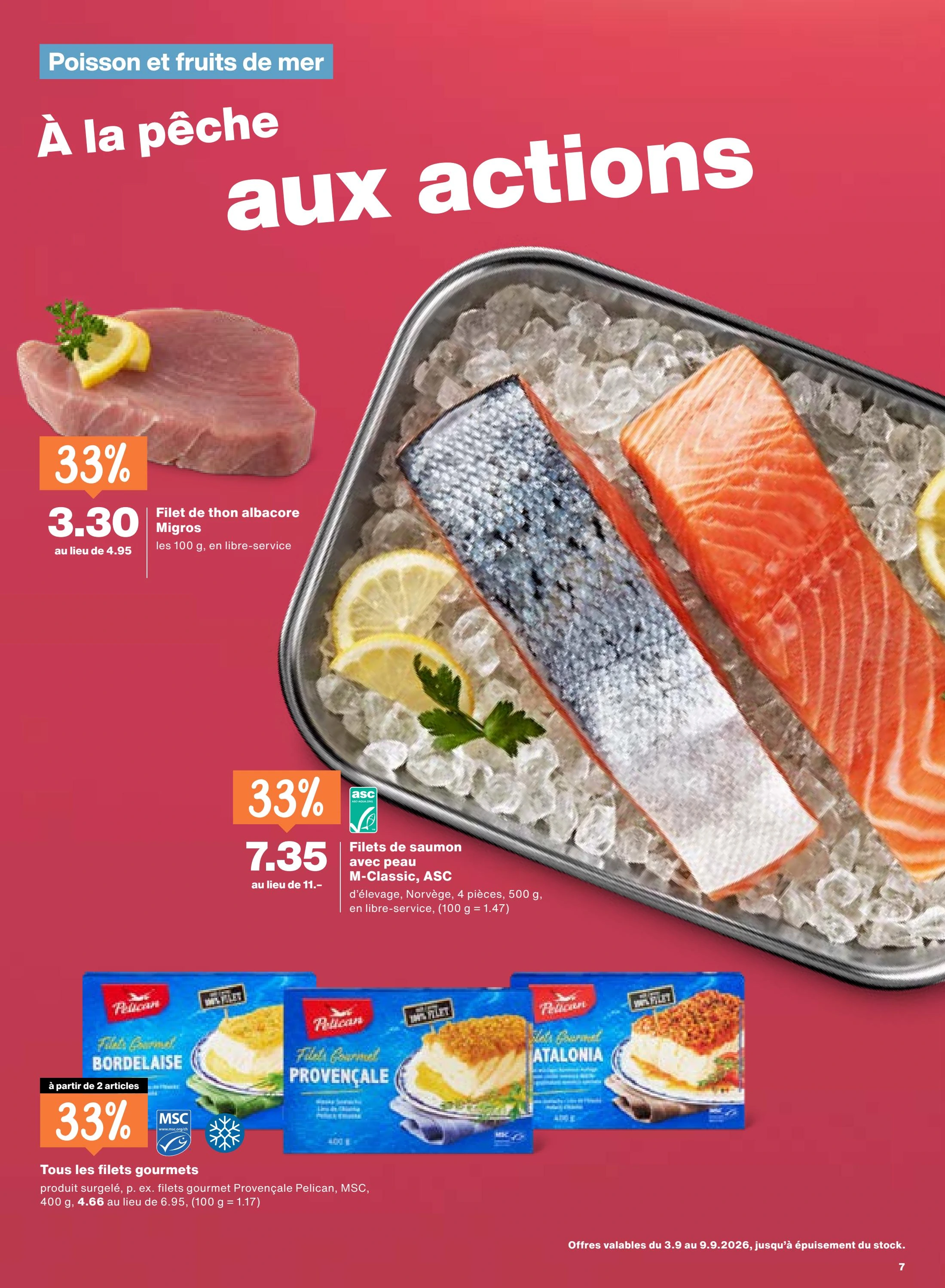 Flyer page 7