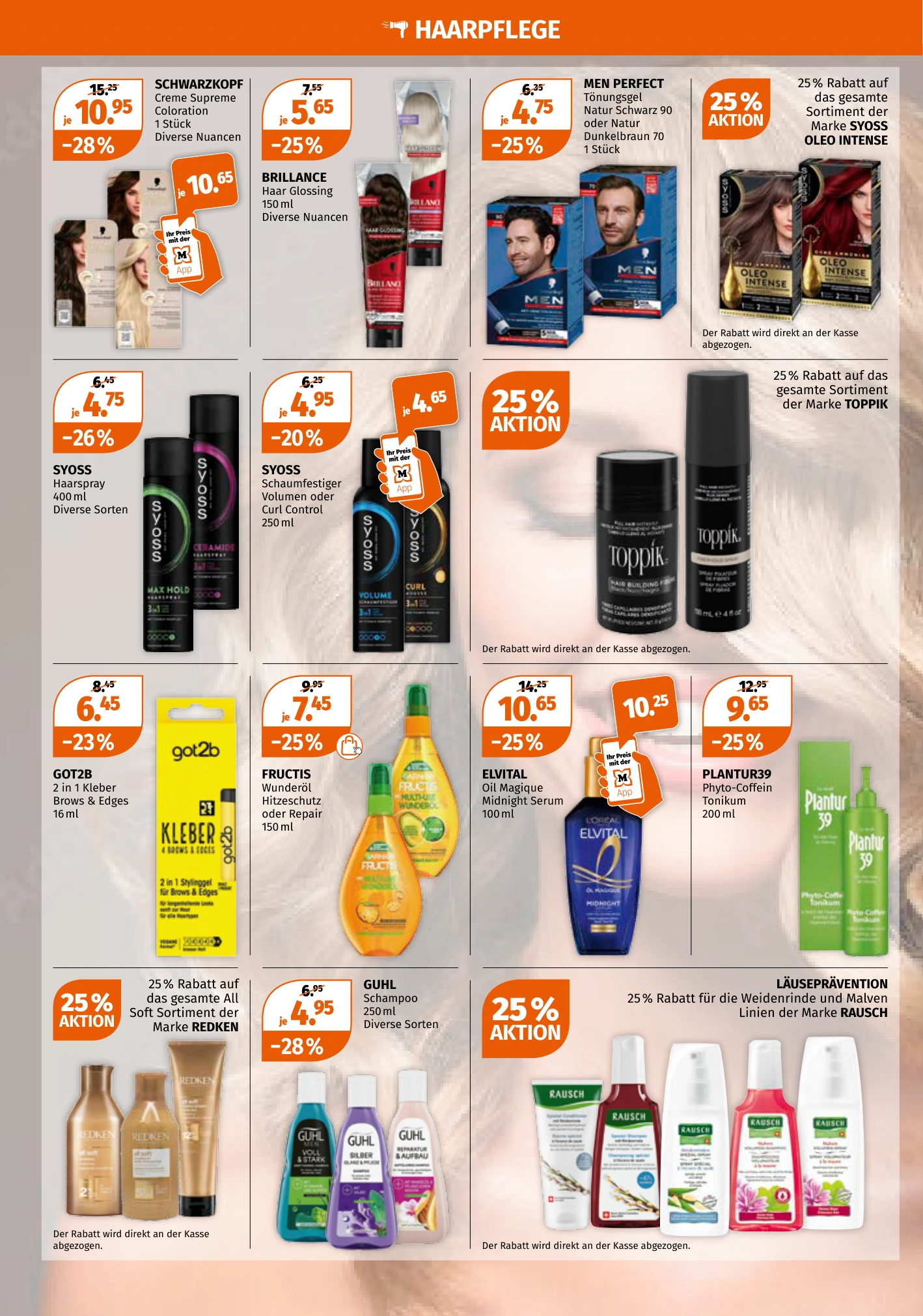 Flyer page 6