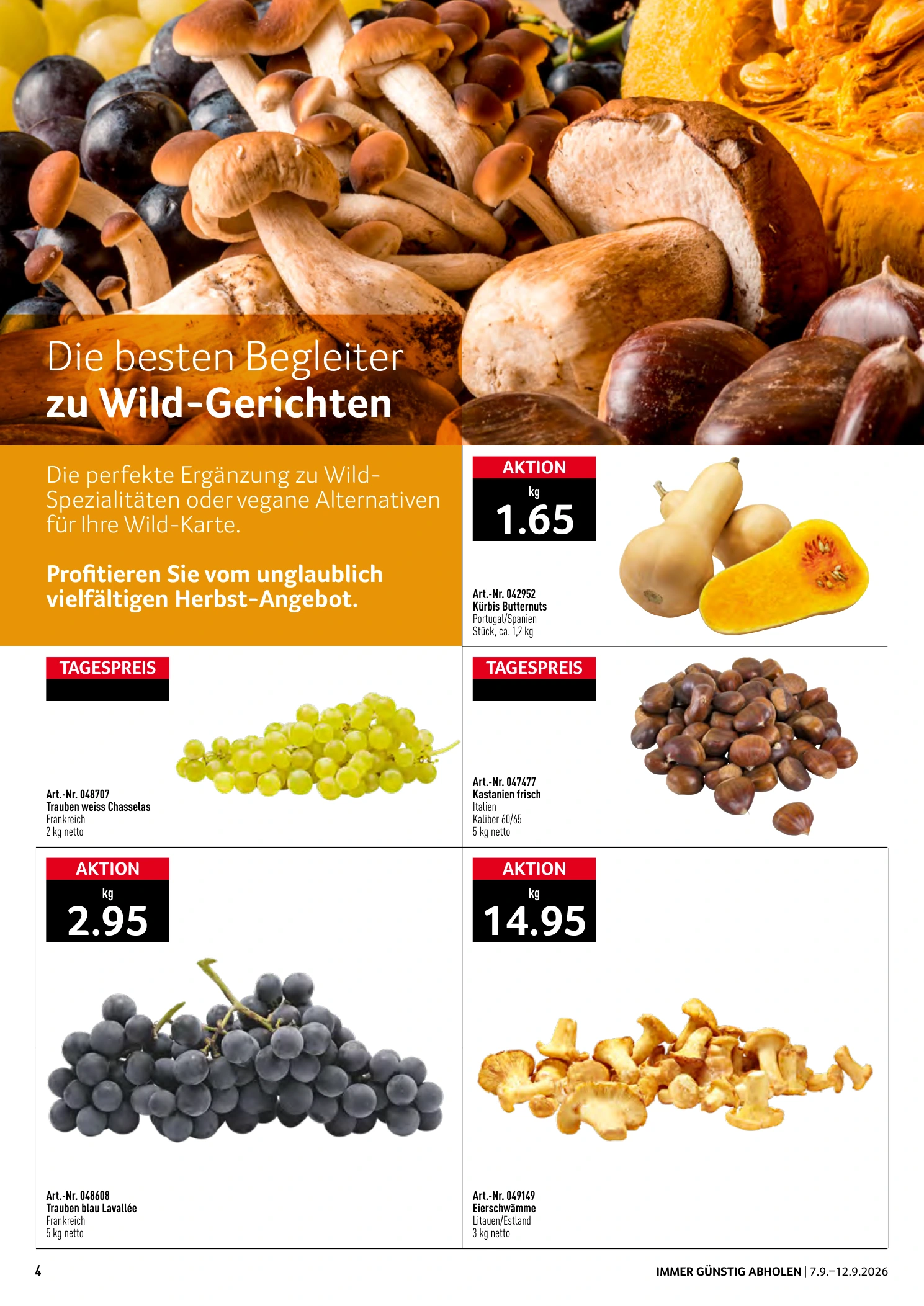 Flyer page 4