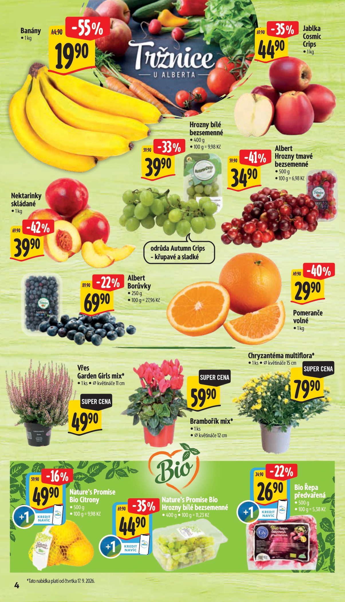 Flyer page 12