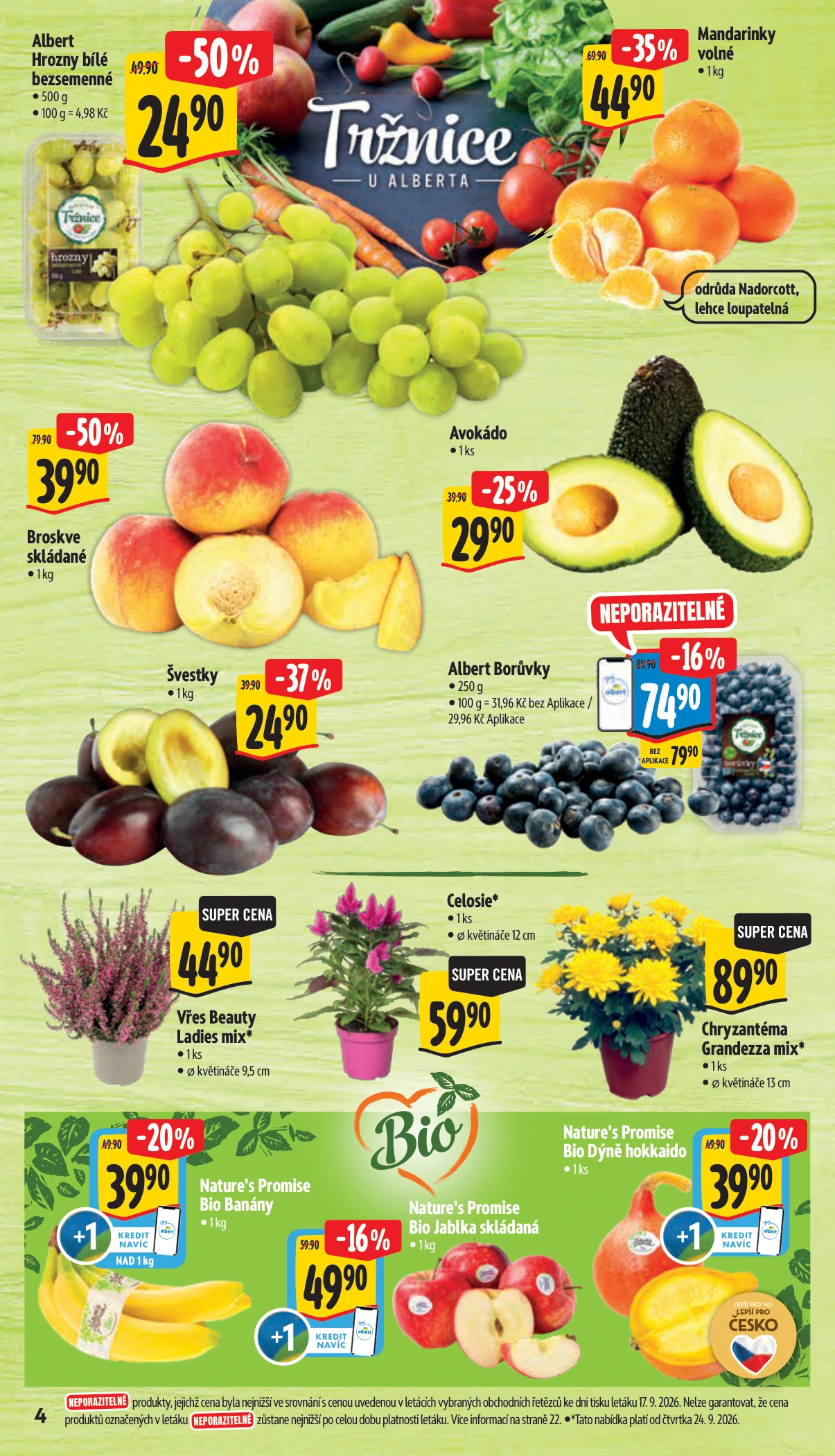 Flyer page 10