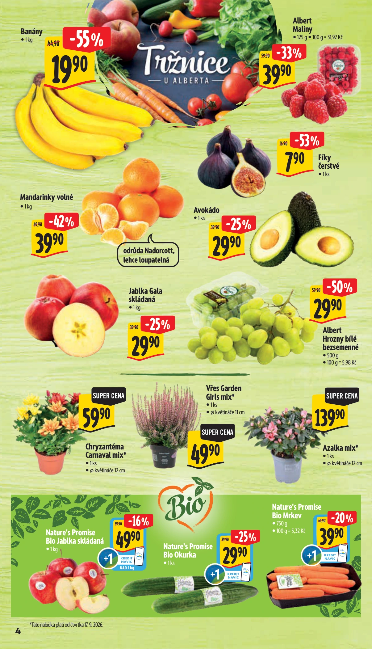 Flyer page 10