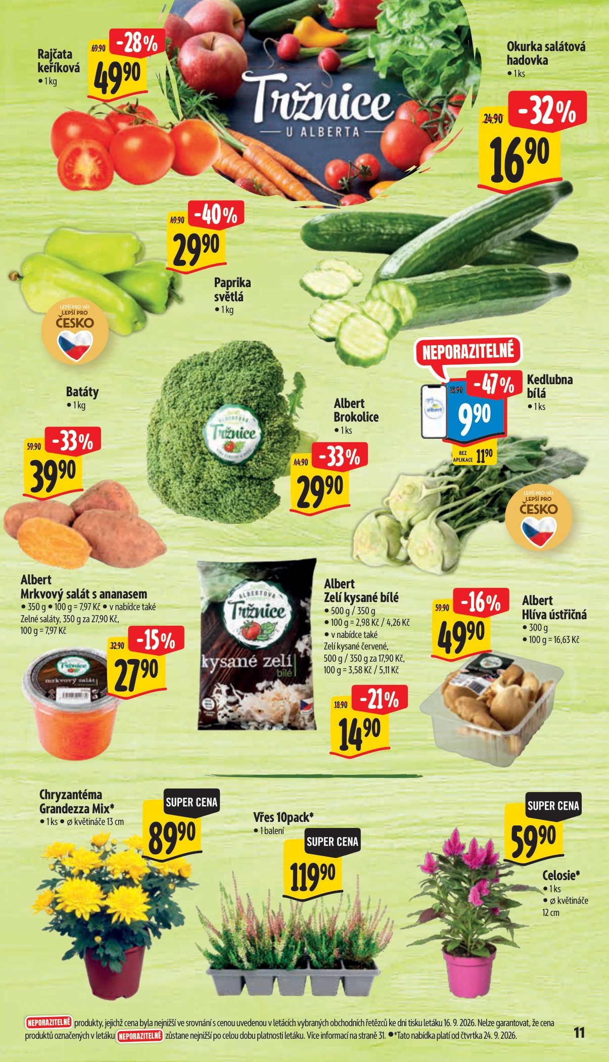 Flyer page 17
