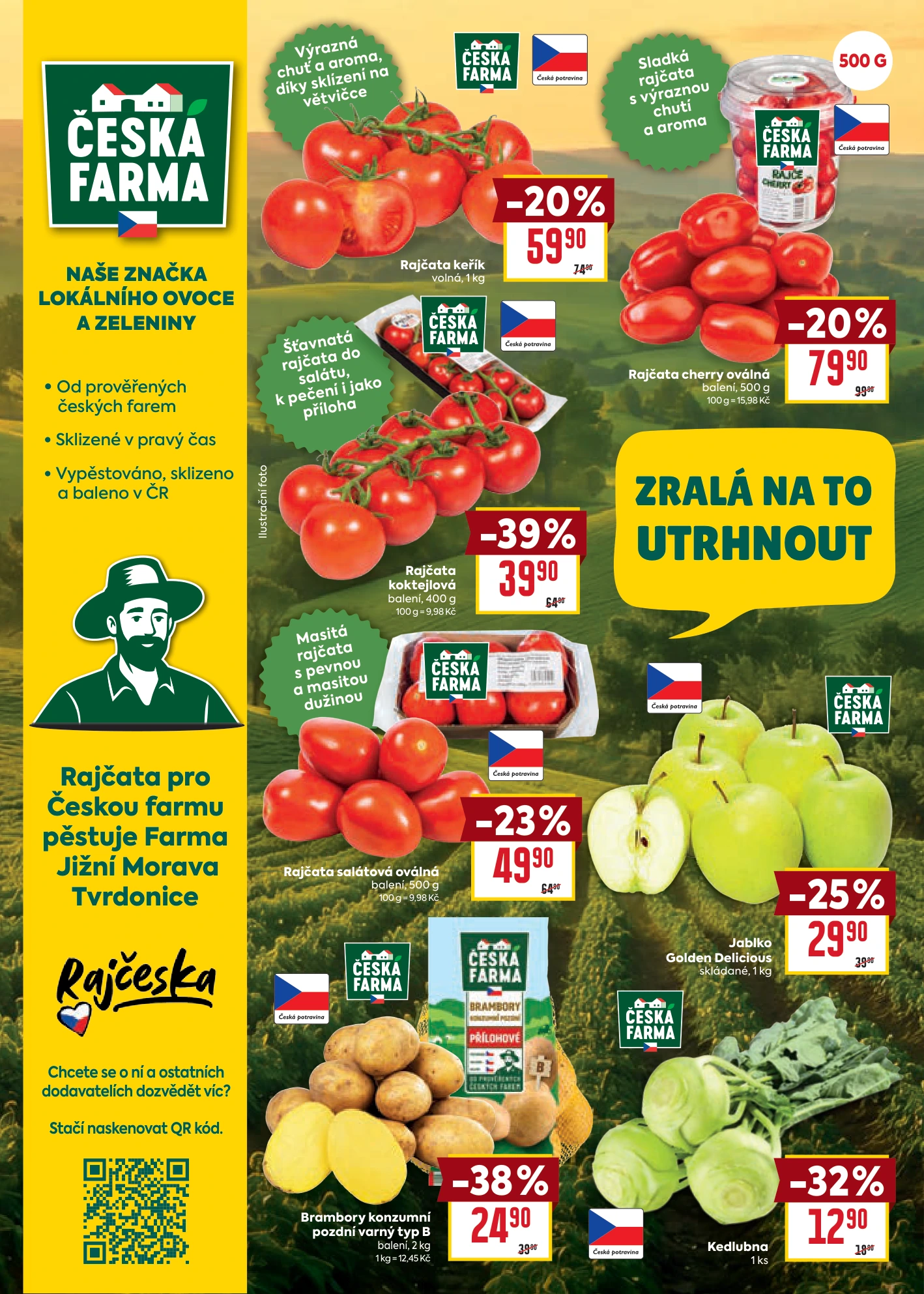 Flyer page 6
