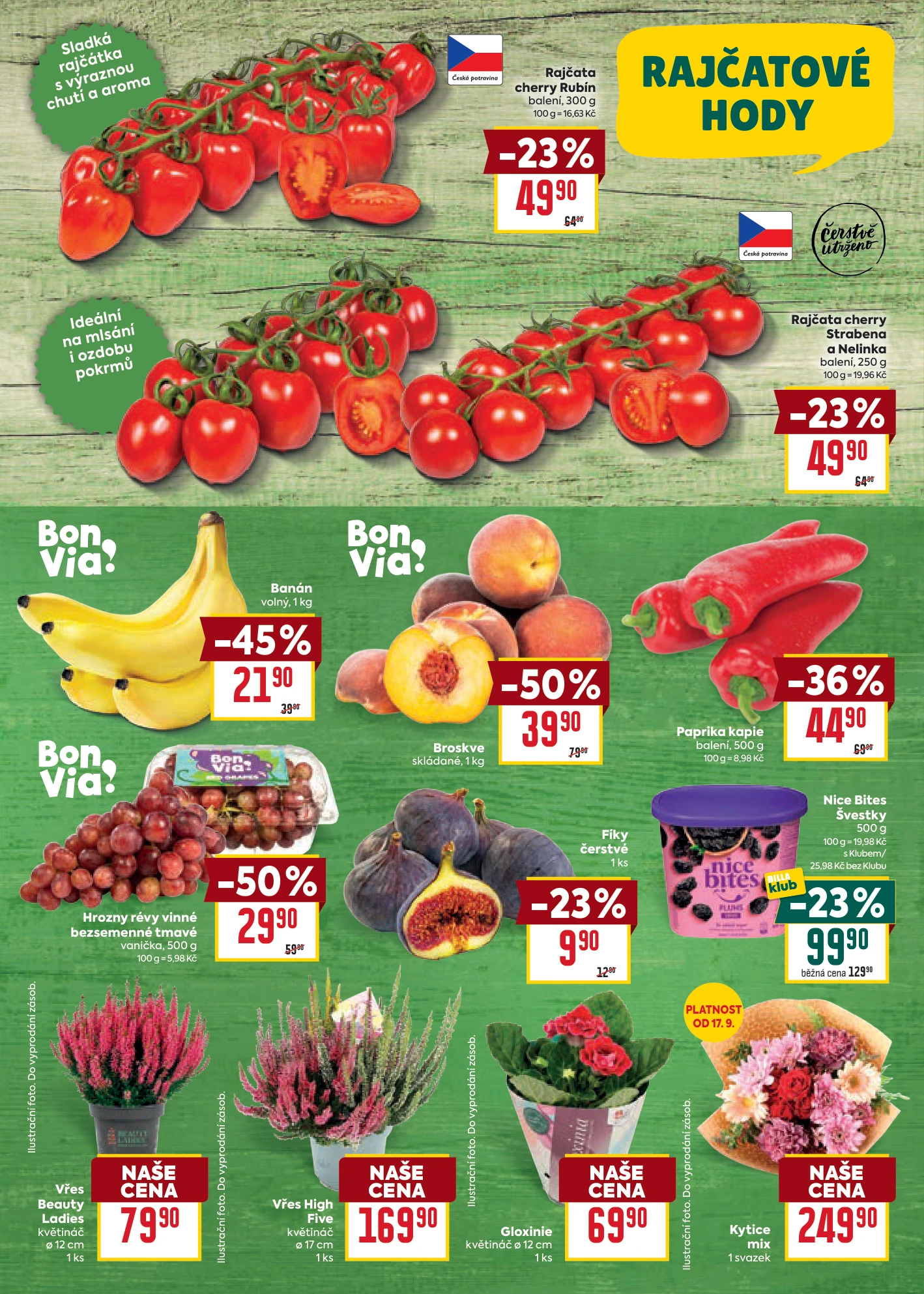 Flyer page 7