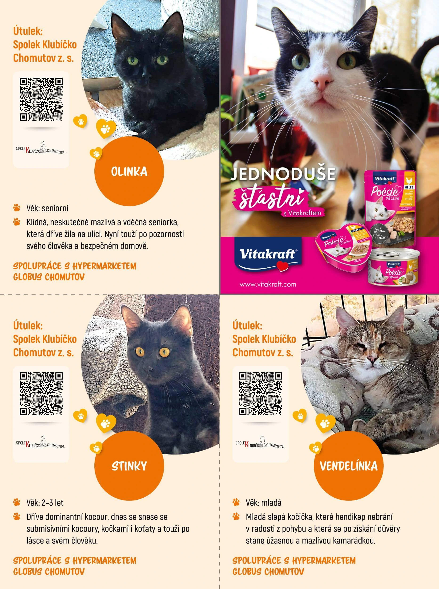 Flyer page 10